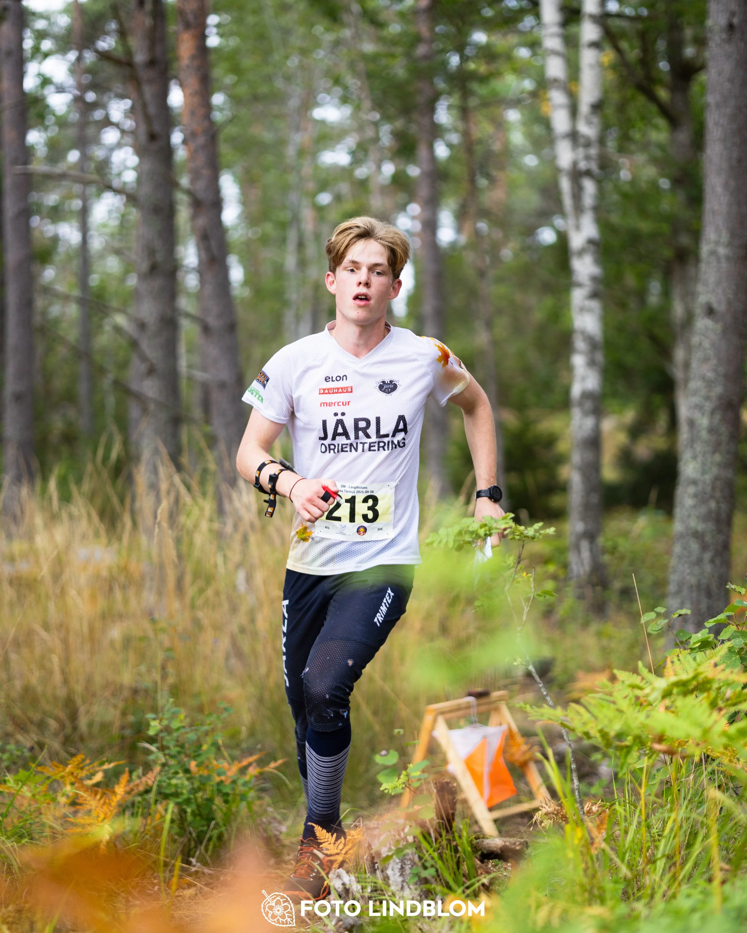 A picture from the Stockholm district championship in middle distance orienteering taken by Foto Lindblom