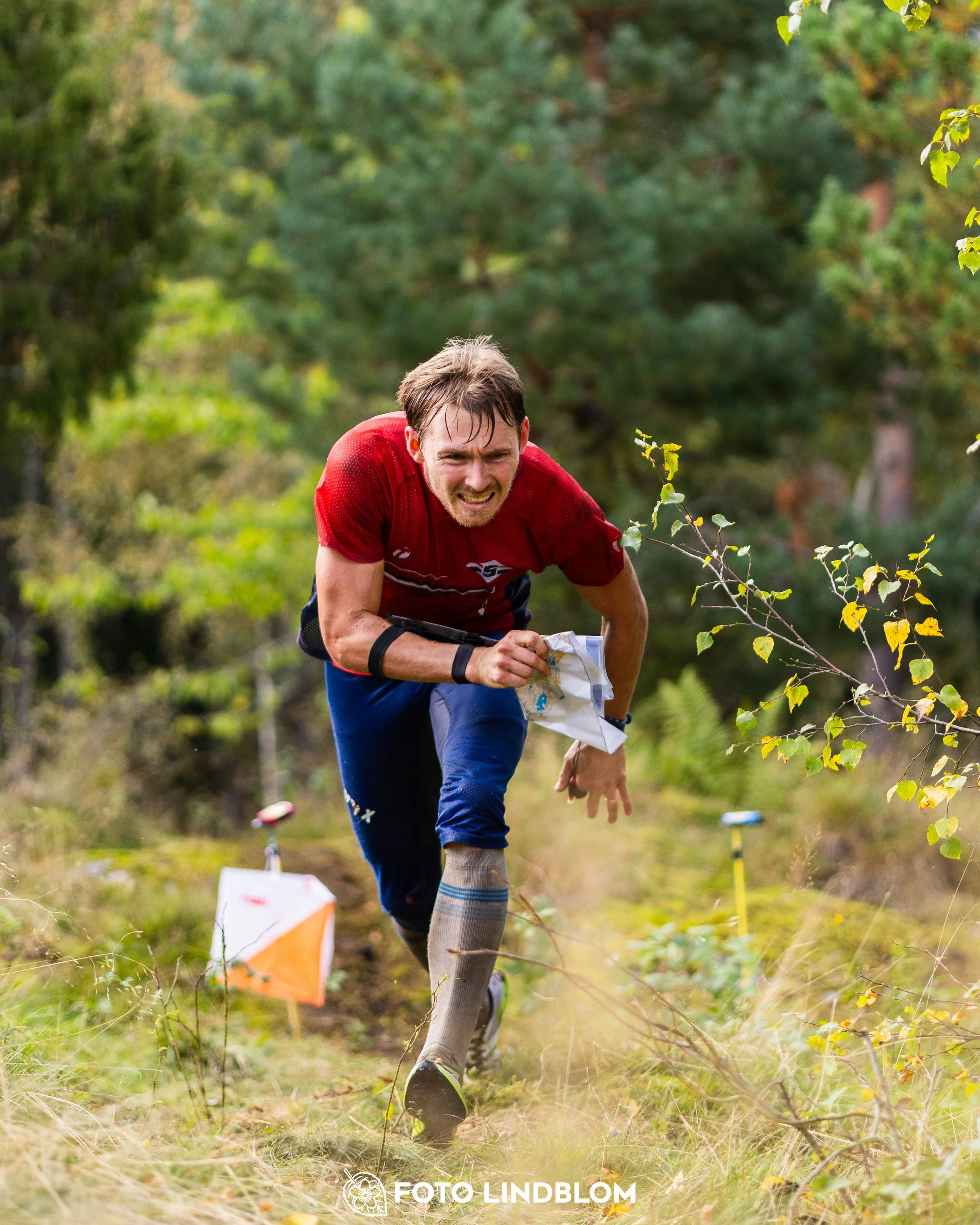 A picture from the Swedish national championship in long distance orienteering and Swedish league race taken by Foto Lindblom