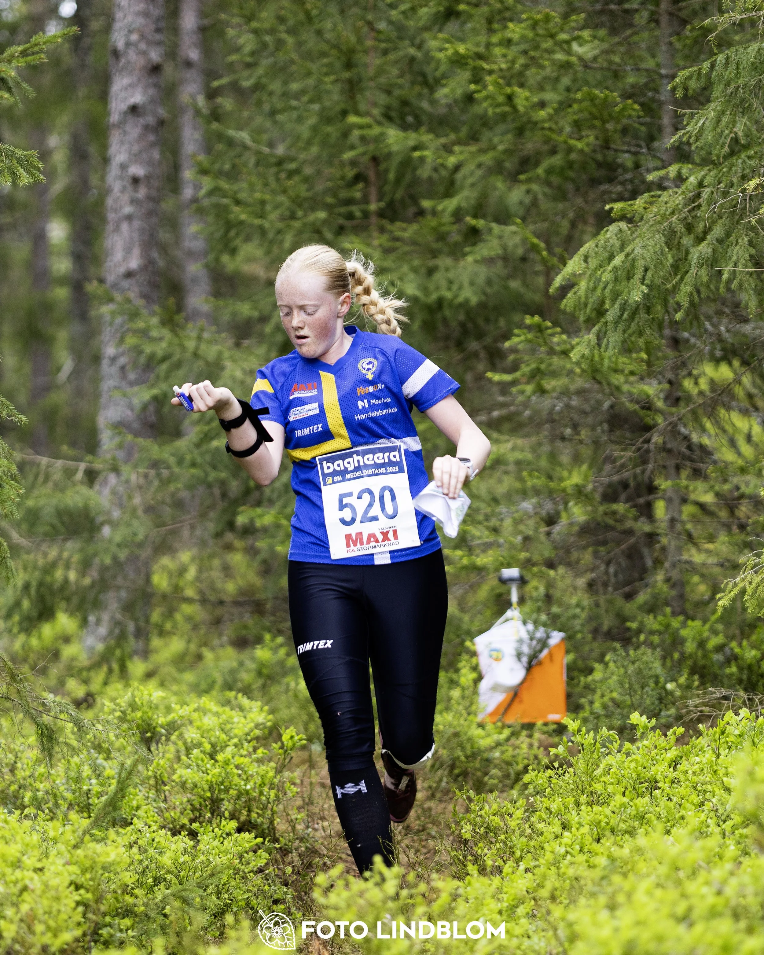 A picture from the Swedish national championship in middle distance orienteering and Swedish league race
