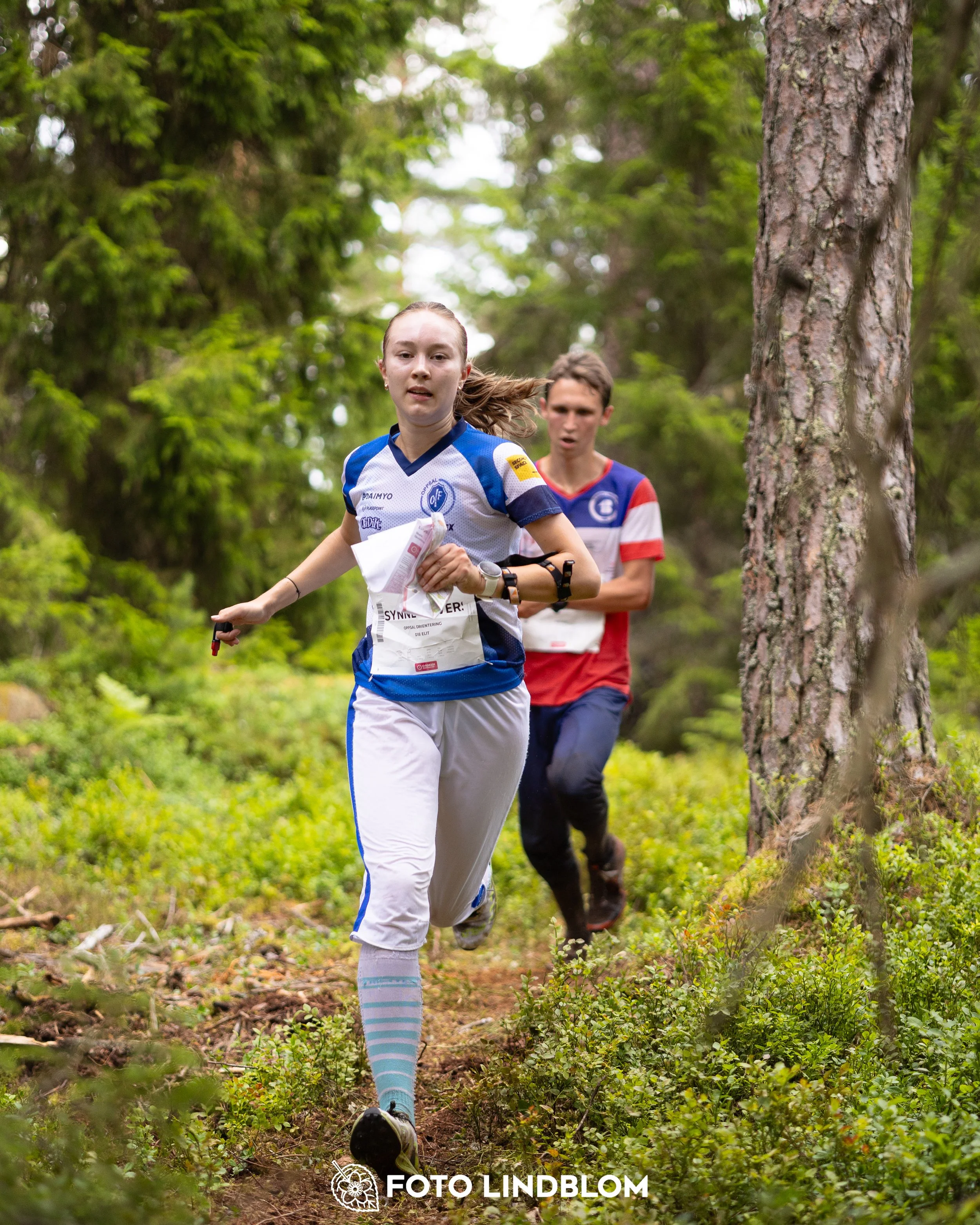 A picture from the second stage of Oringen 2025