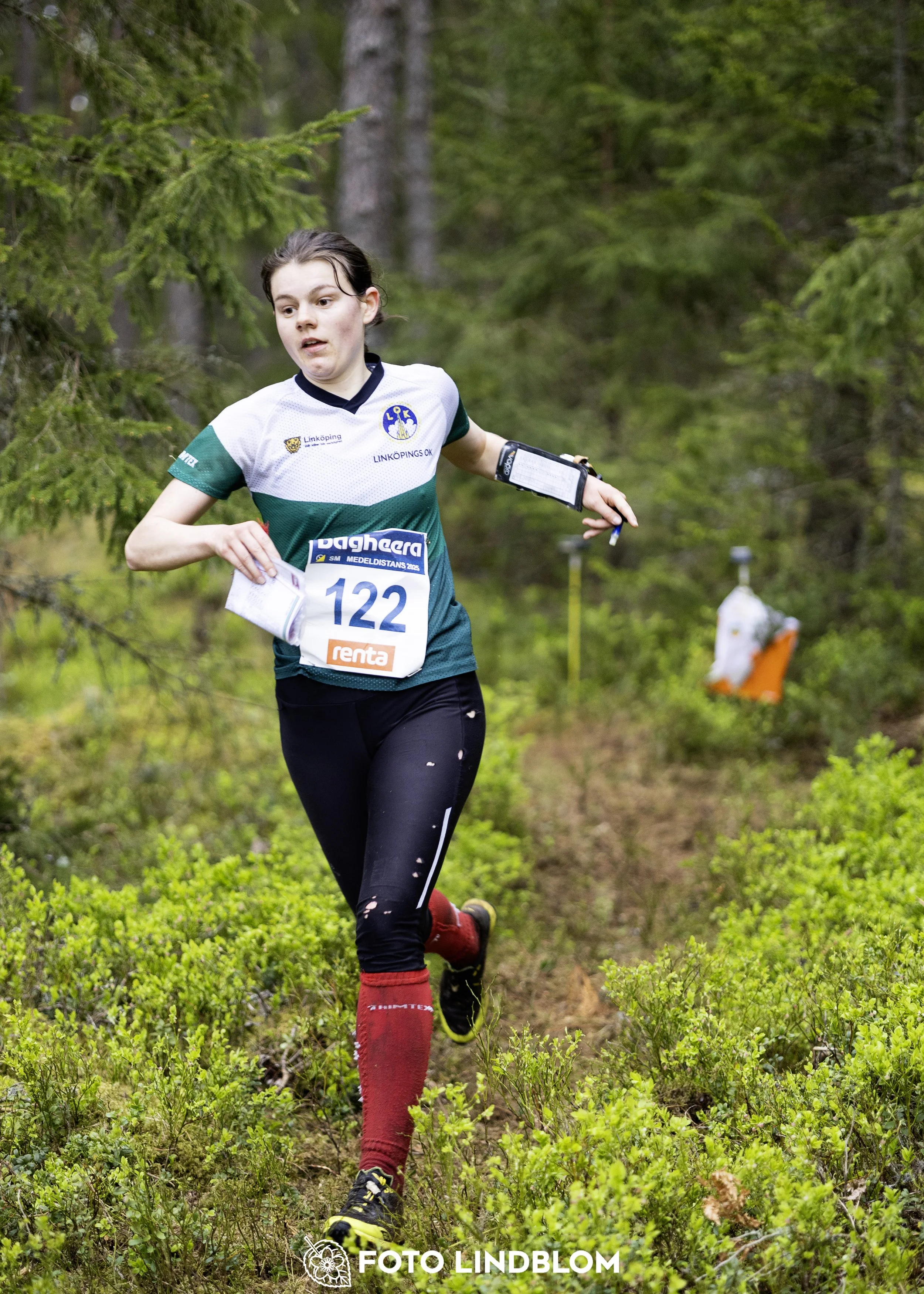 A picture from the Swedish national championship in middle distance orienteering and Swedish league race