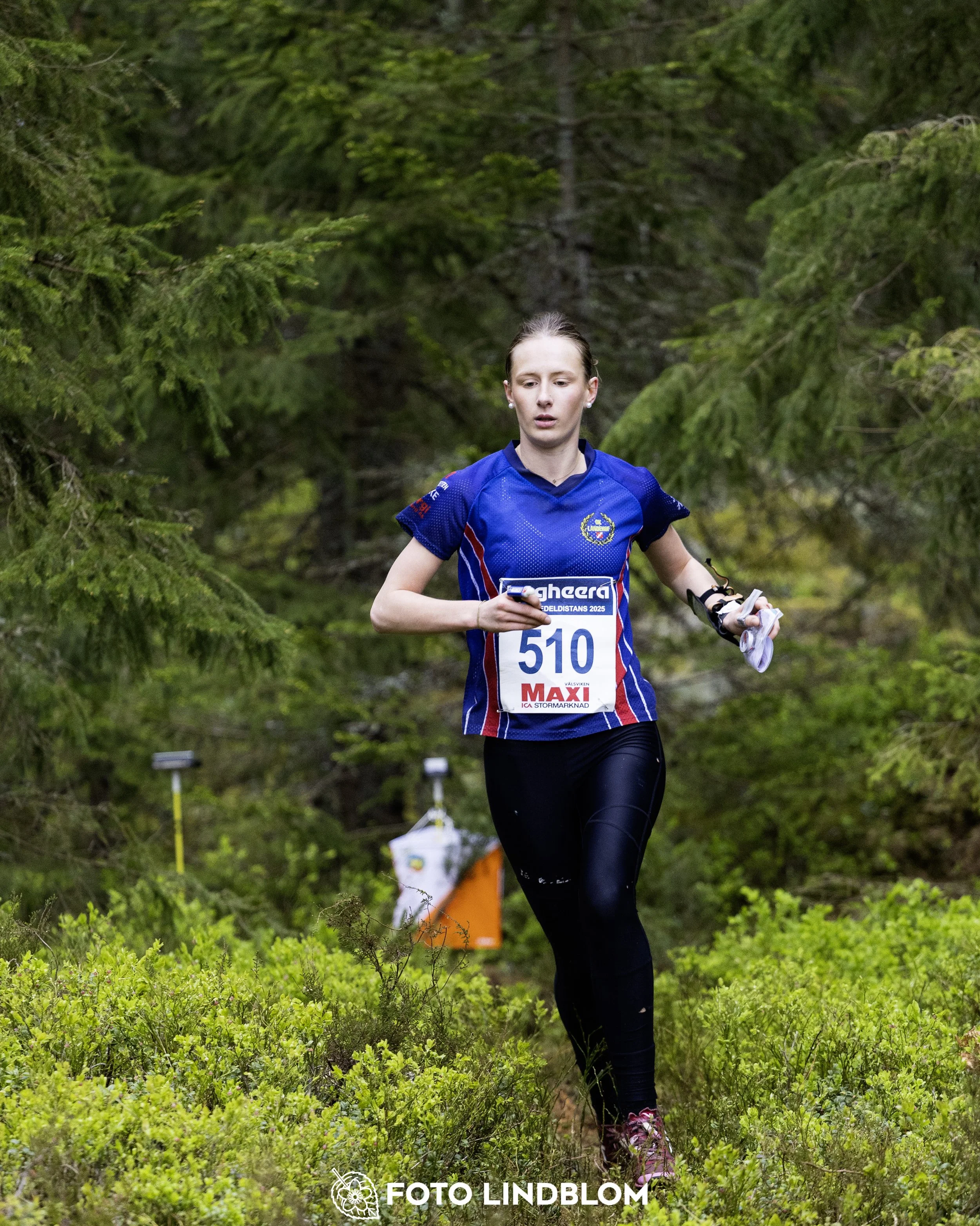 A picture from the Swedish national championship in middle distance orienteering and Swedish league race
