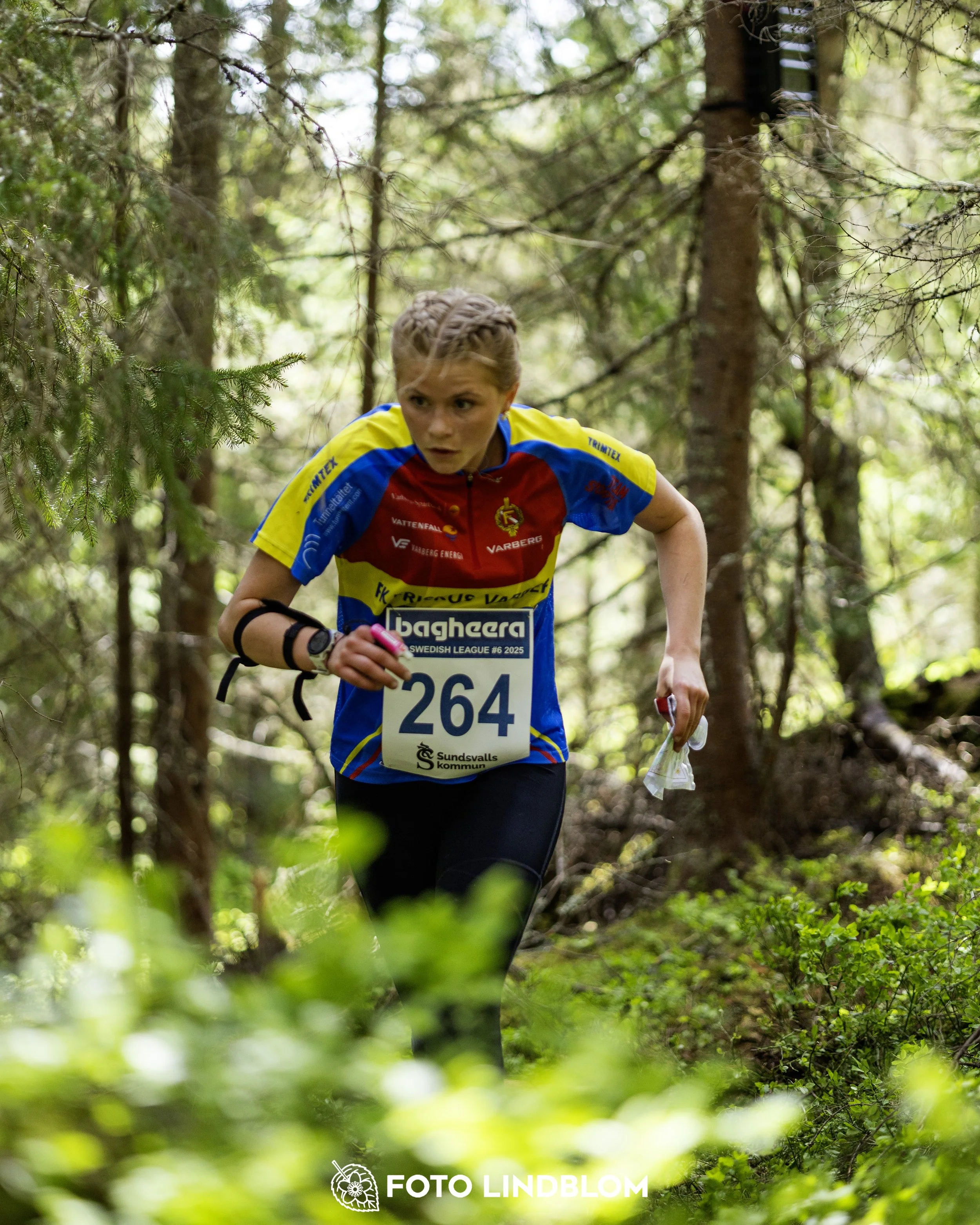A picture from the seventh stage of the Swedish League orienteering competition