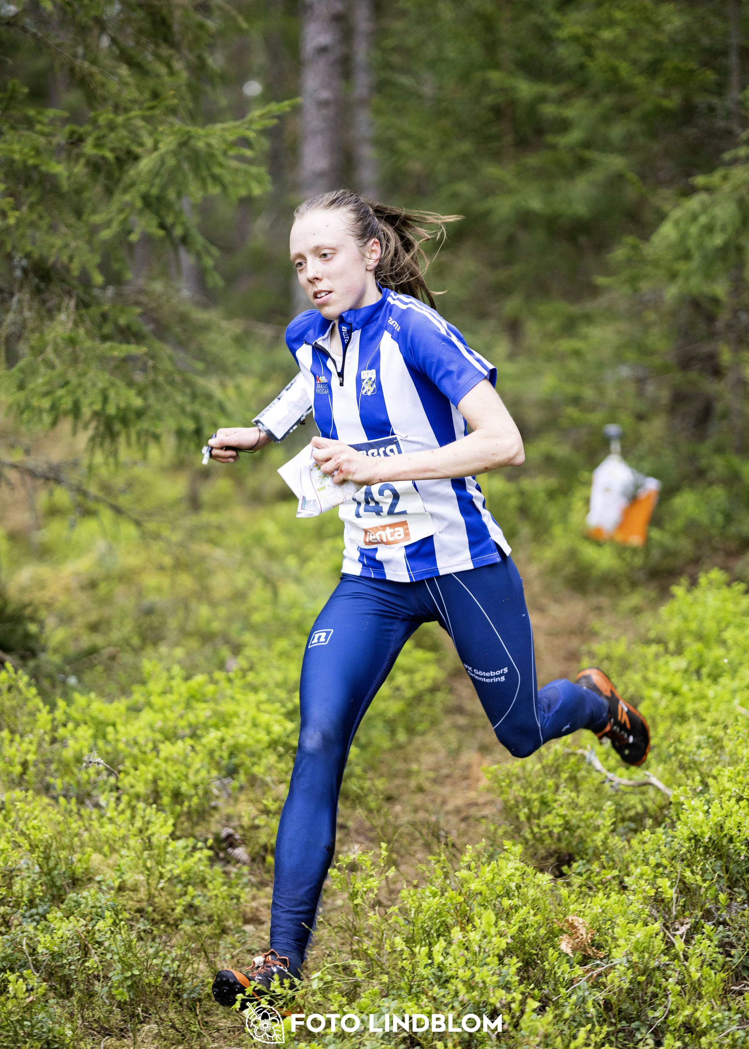 A picture from the Swedish national championship in middle distance orienteering and Swedish league race