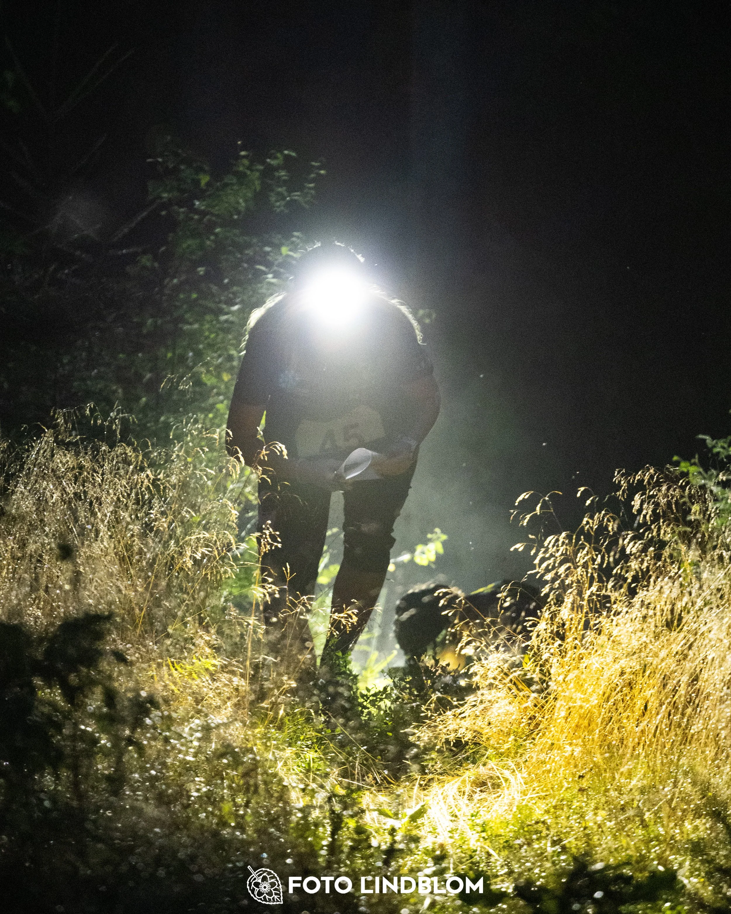 A picture from the youth 10 mila orienteering competition taken by Foto Lindblom