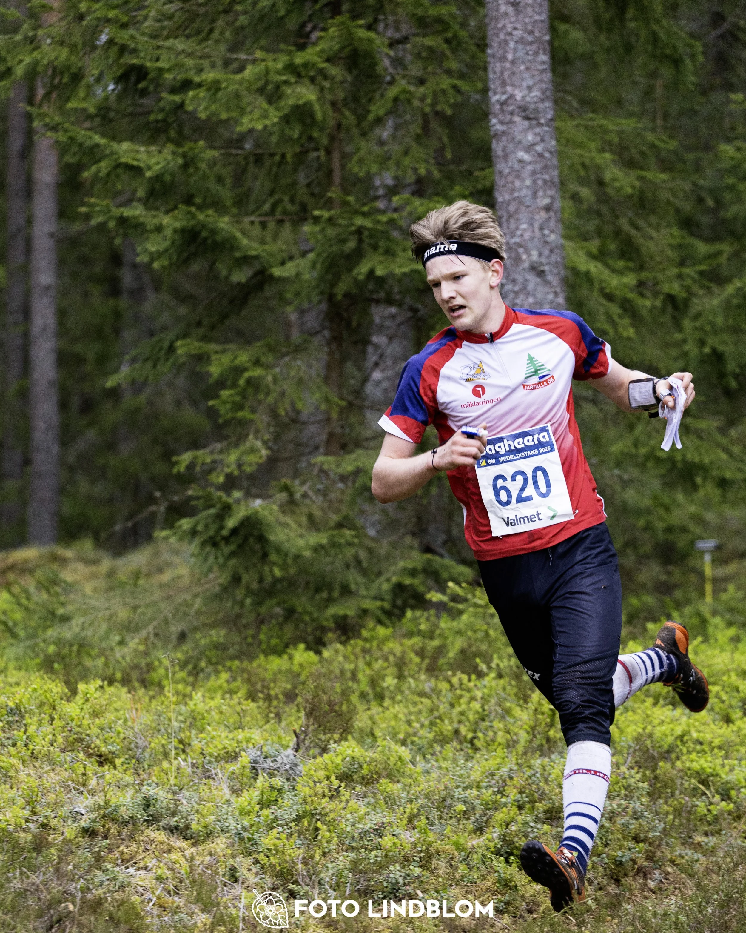 A picture from the Swedish national championship in middle distance orienteering and Swedish league race