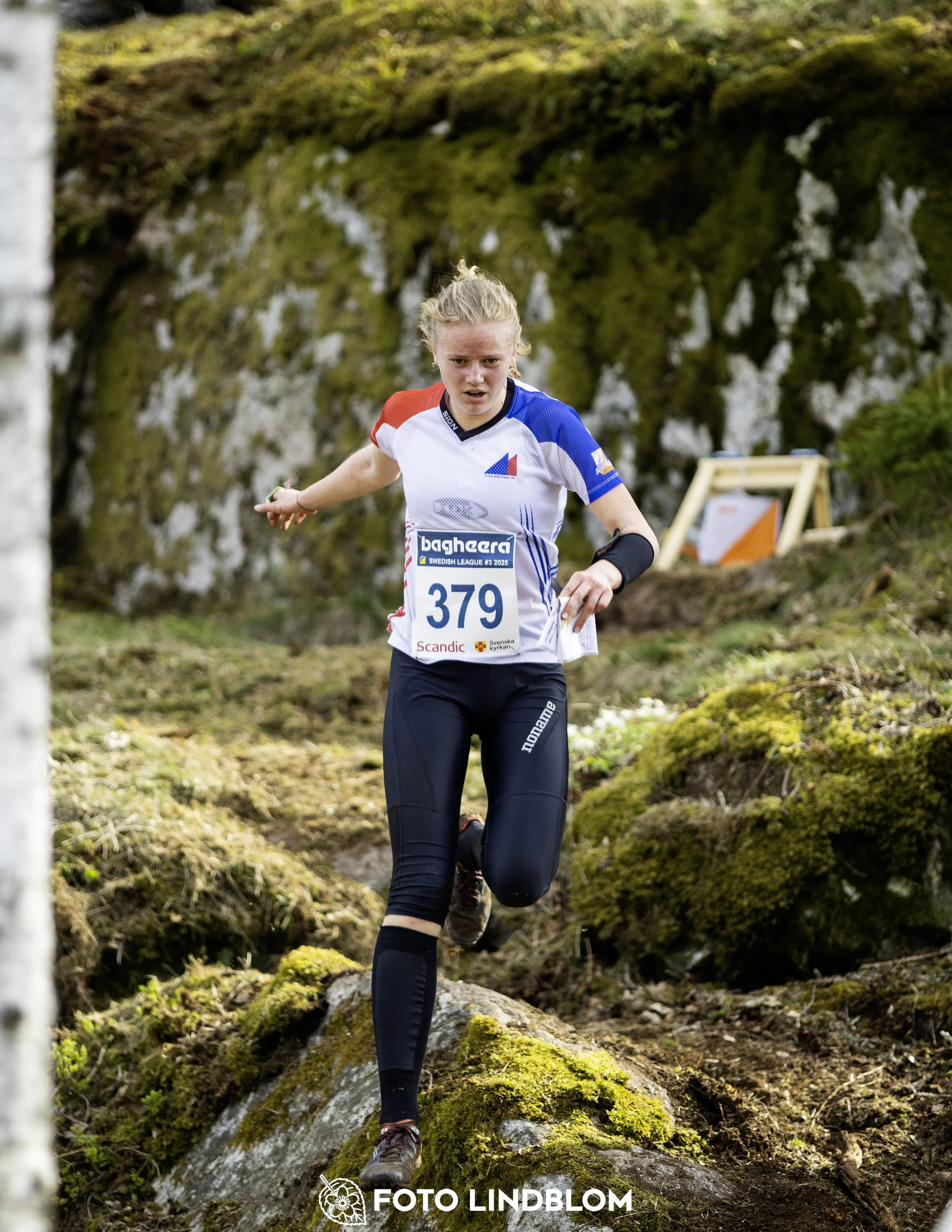 A picture from the third stage of the Swedish League orienteering competition