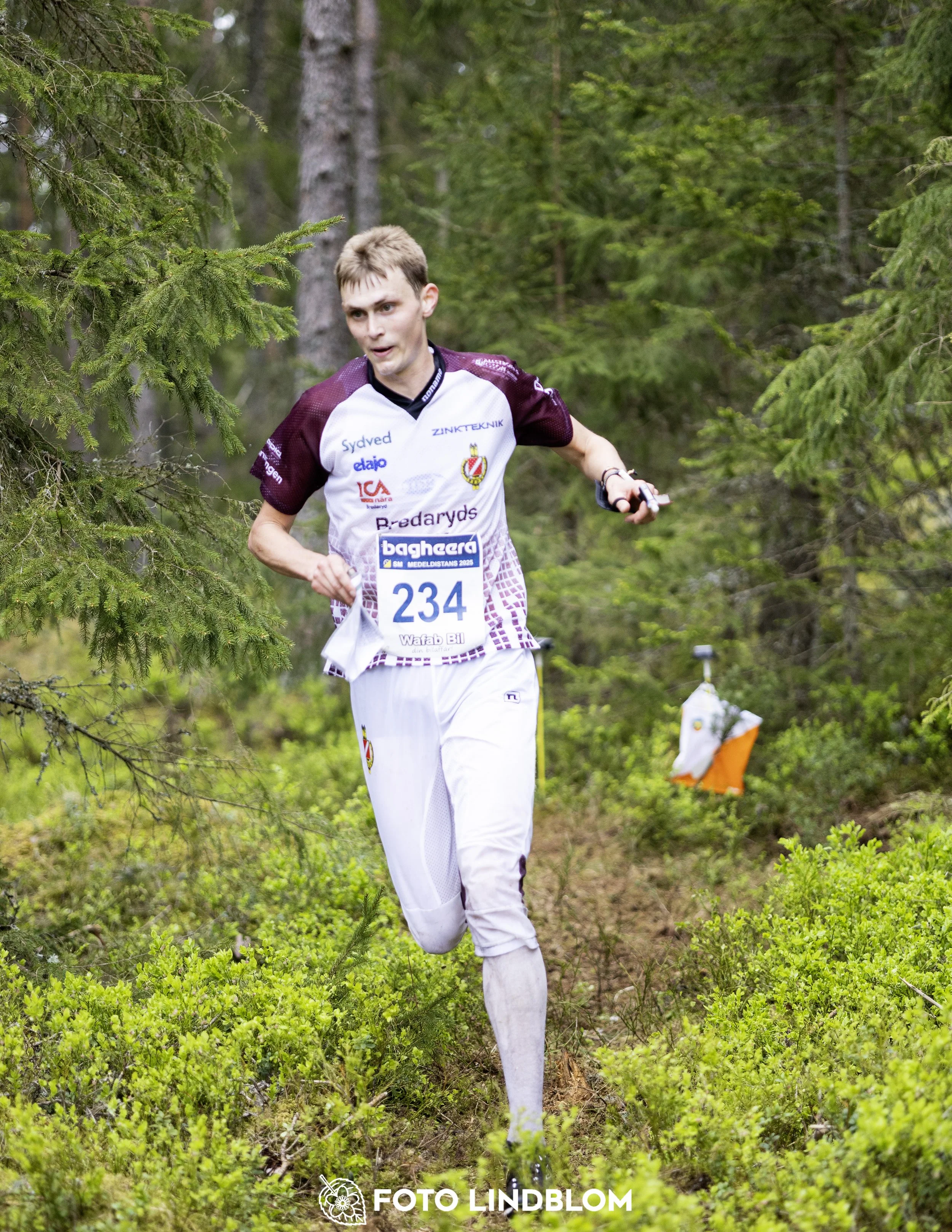 A picture from the Swedish national championship in middle distance orienteering and Swedish league race