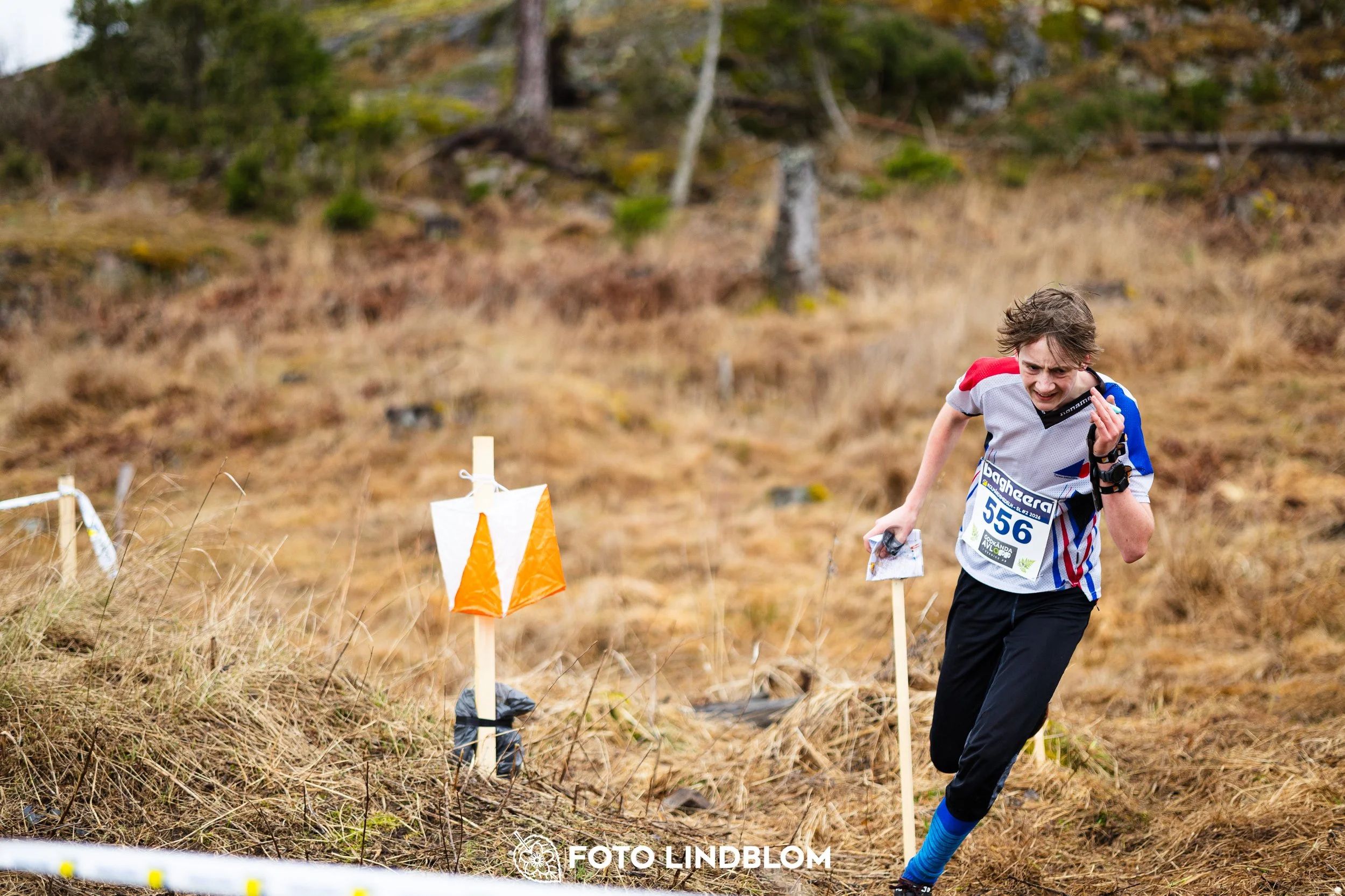 A moment from a middle distance orienteering race in Kolmården during the Swedish League 2026, captured by Foto Lindblom.