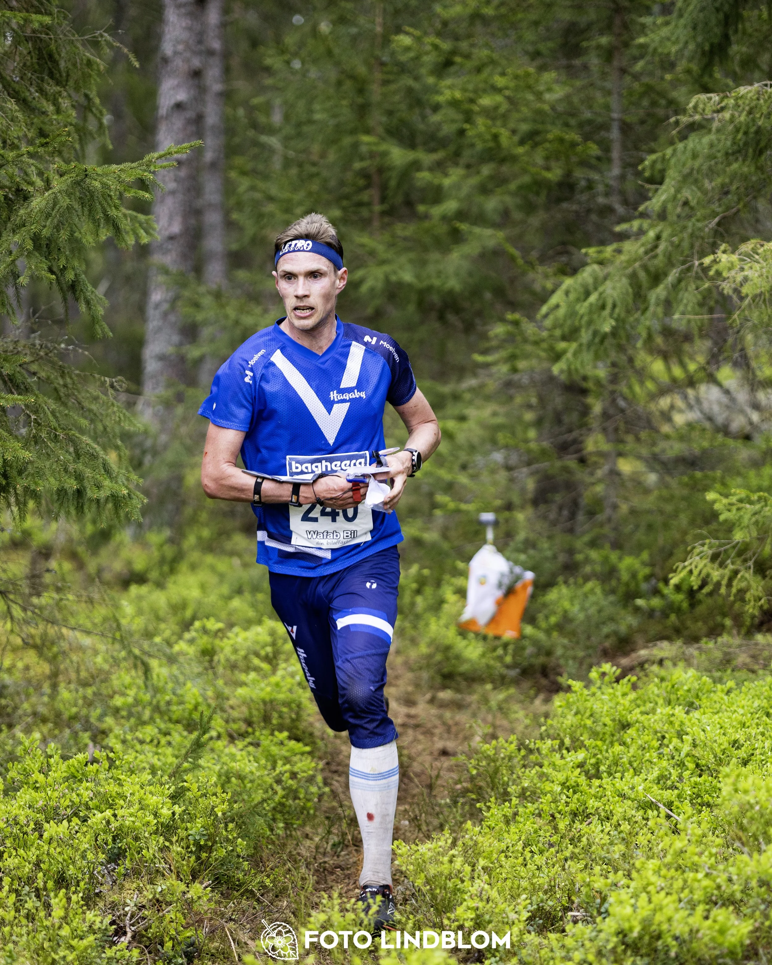 A picture from the Swedish national championship in middle distance orienteering and Swedish league race