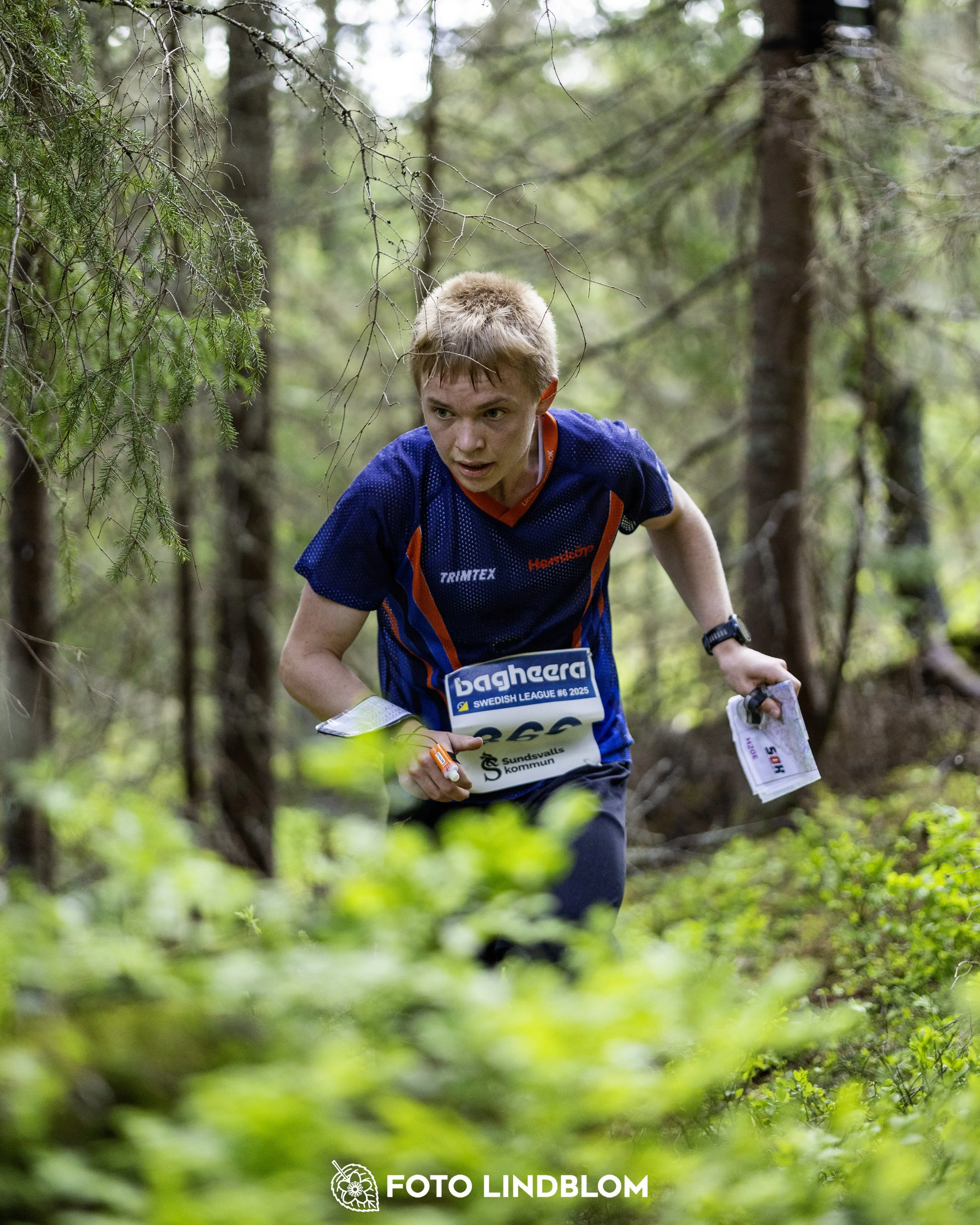 A picture from the seventh stage of the Swedish League orienteering competition
