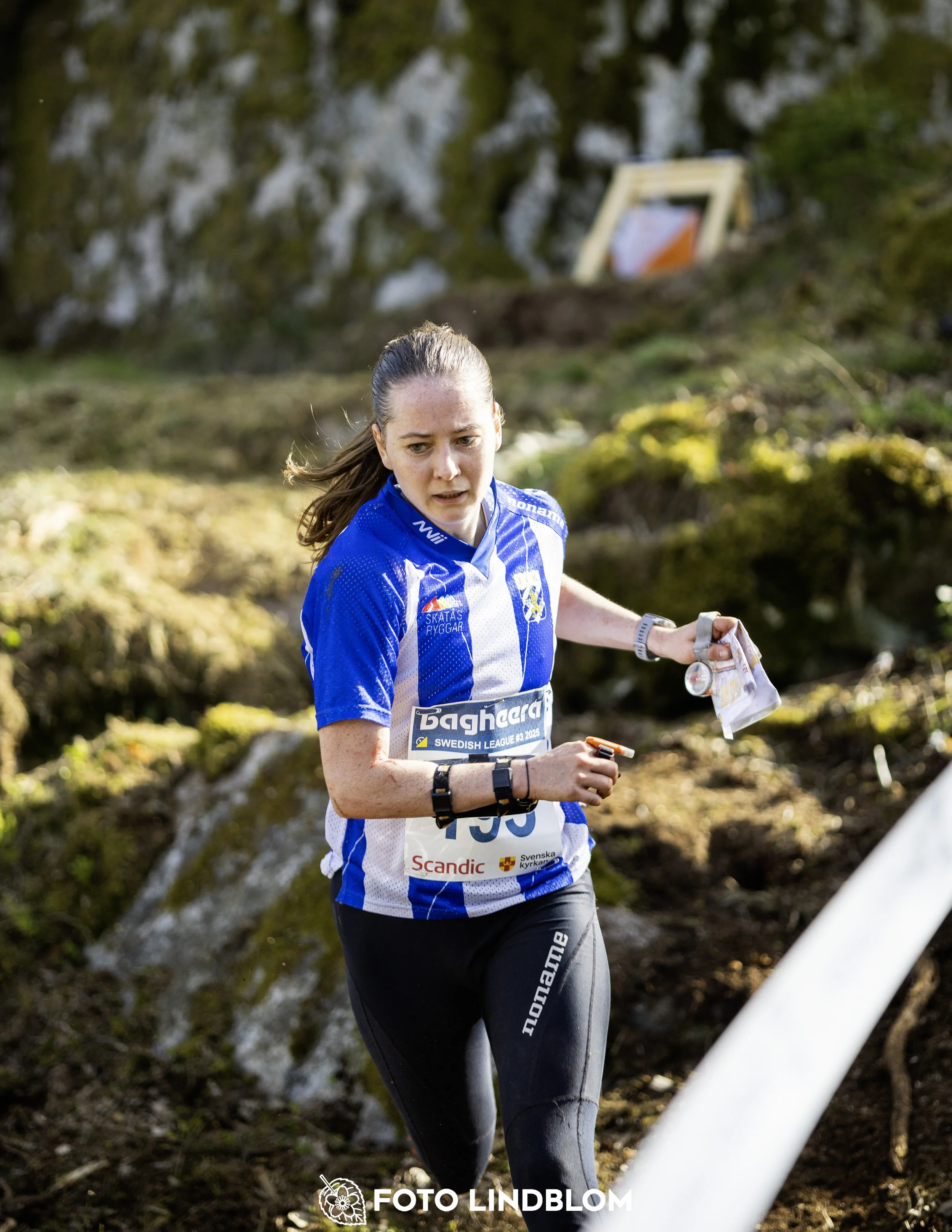 A picture from the third stage of the Swedish League orienteering competition