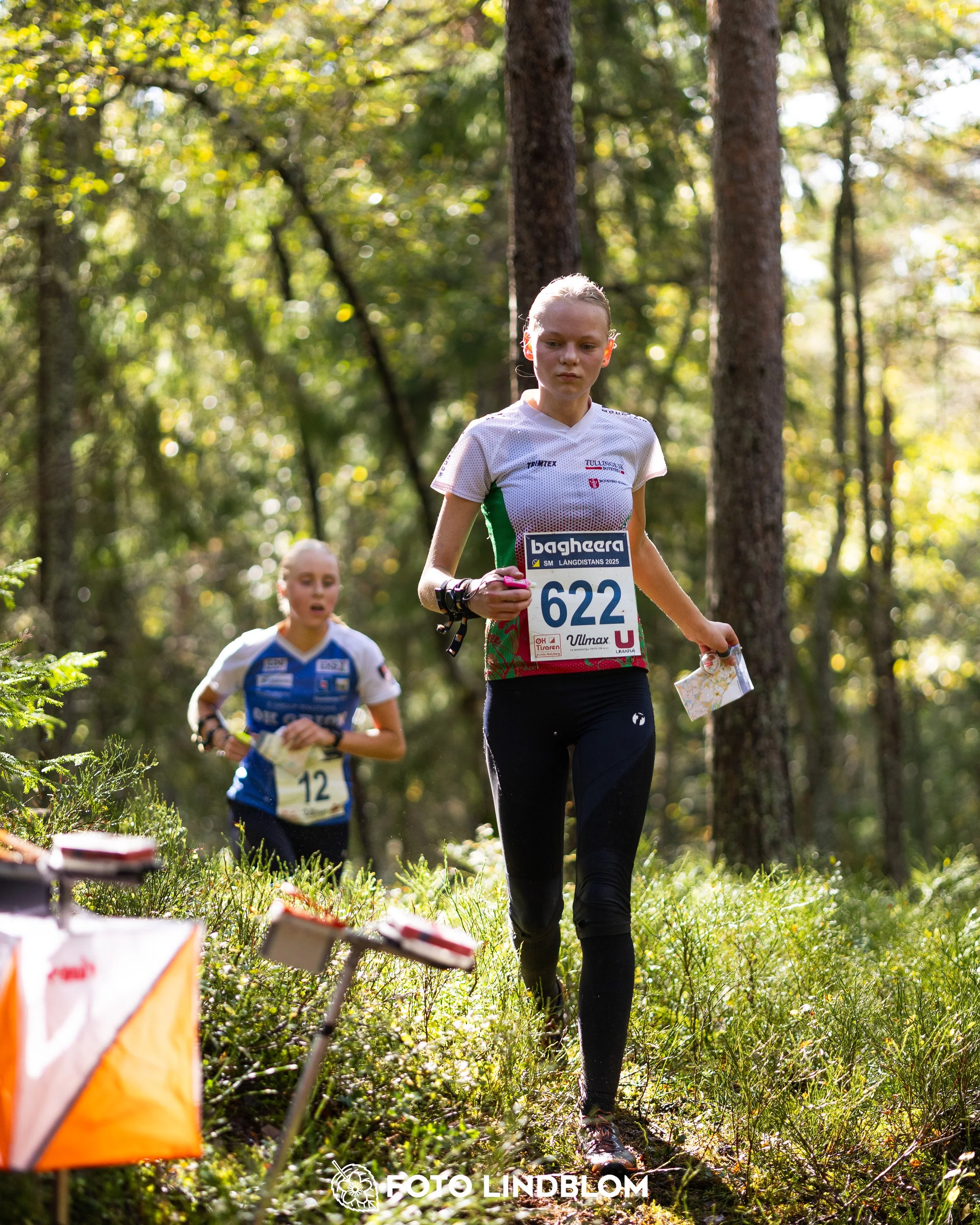 A picture from the Swedish national championship in long distance orienteering and Swedish league race taken by Foto Lindblom