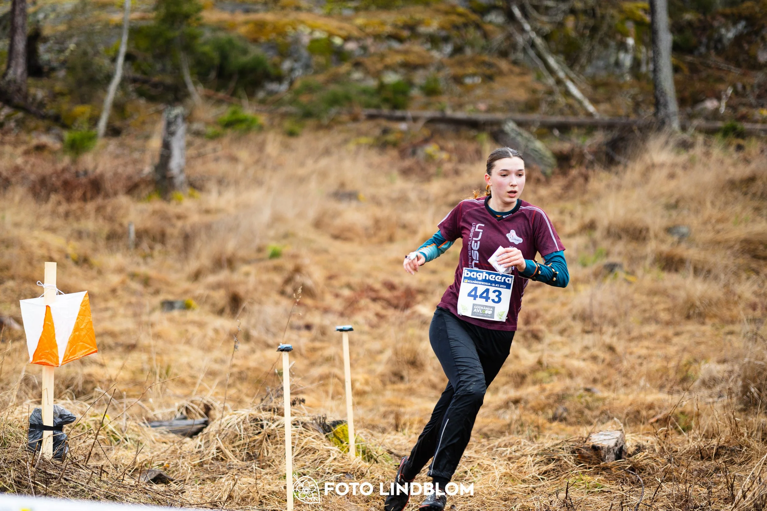 A photo from a forest orienteering competition in Kolmården as part of the Swedish League 2026 season, captured by Foto Lindblom.