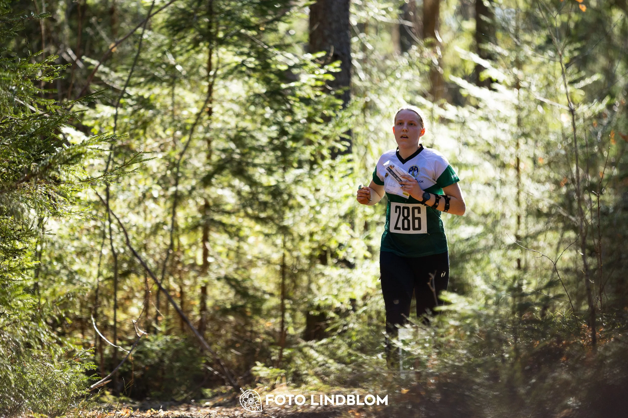 Orienteering in forest terrain at Nyköpingsorienteringen 2026, photographed by Foto Lindblom.