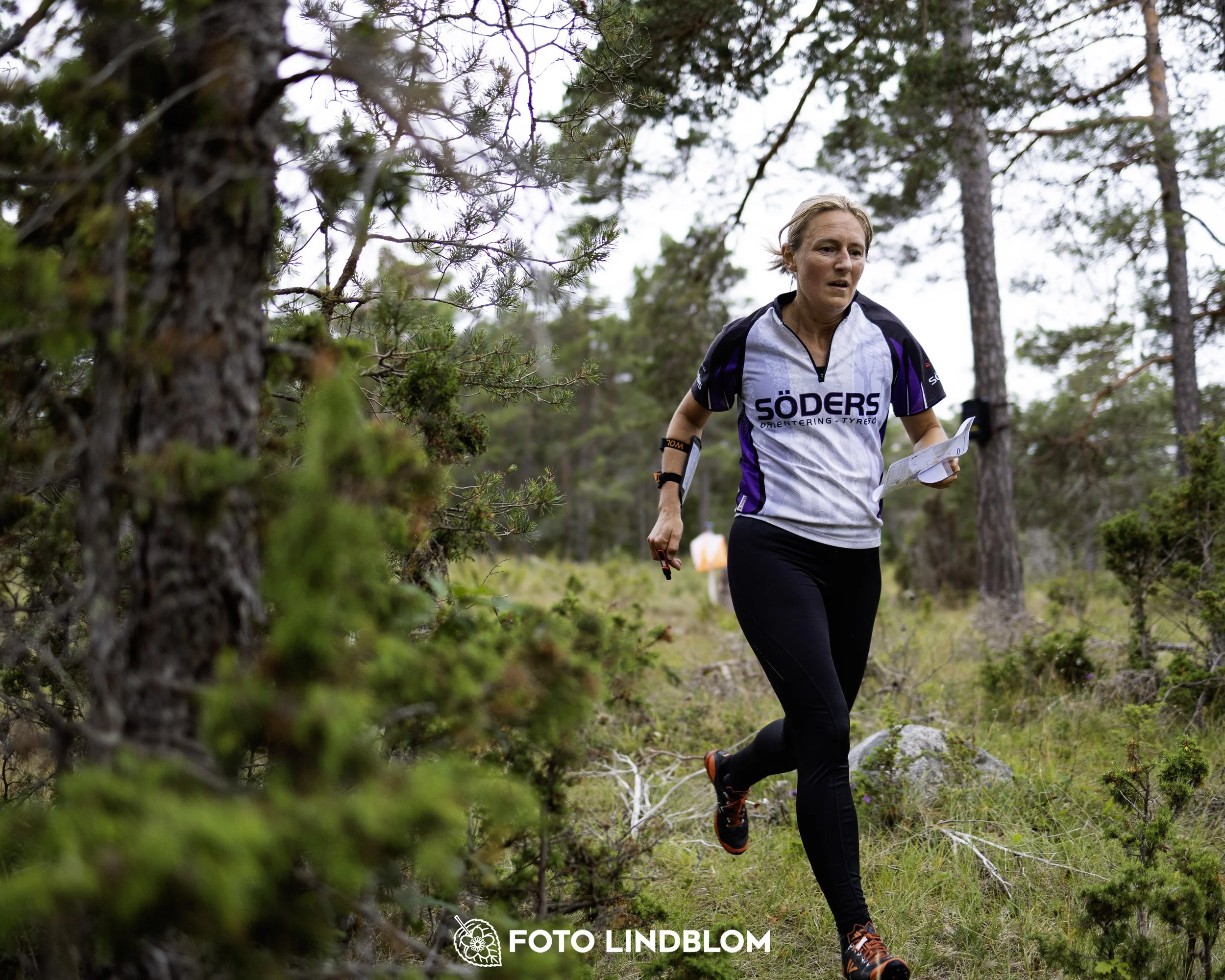 A picture from the Gotlands 2-Dagars orienteering competition
