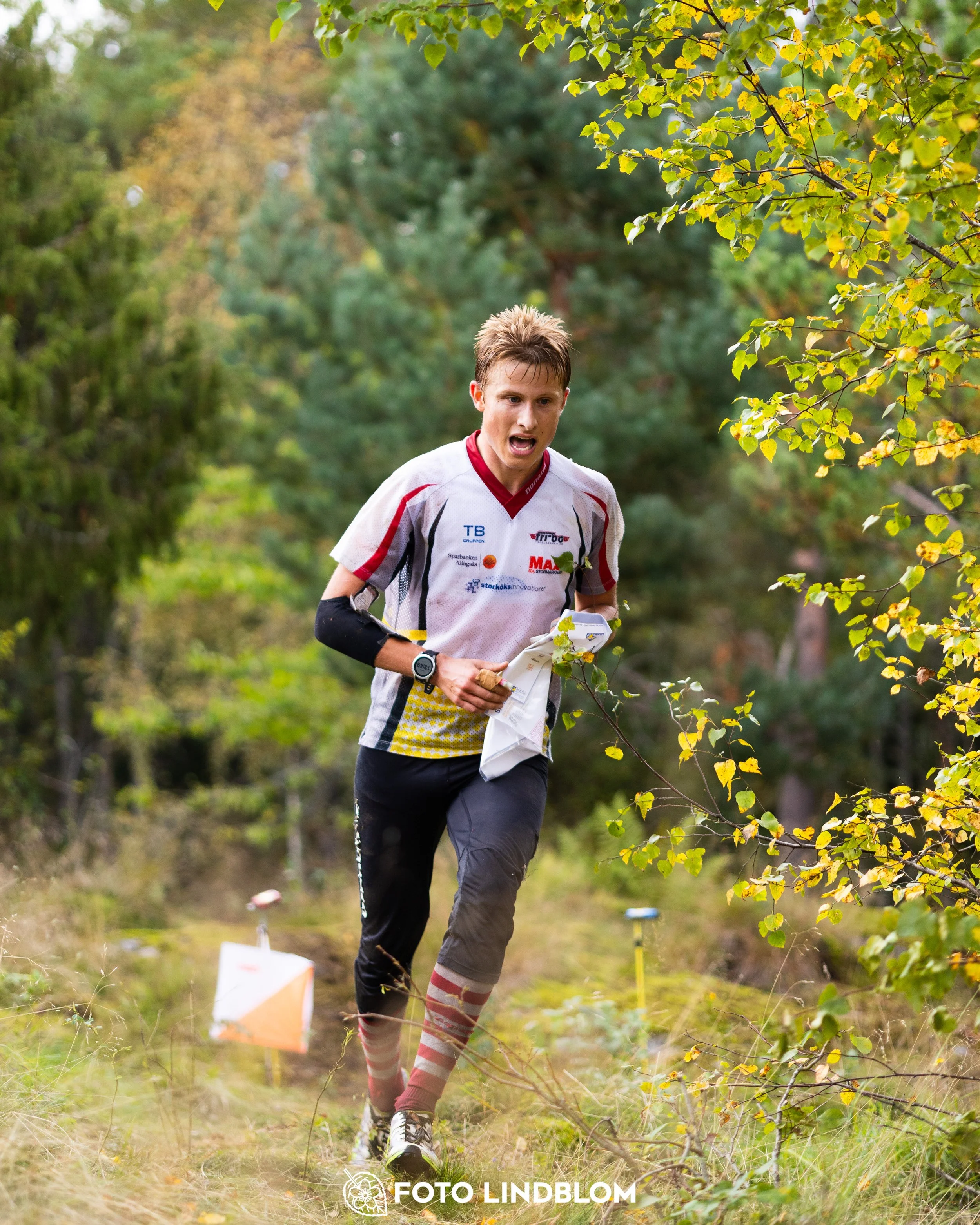 A picture from the Swedish national championship in long distance orienteering and Swedish league race taken by Foto Lindblom