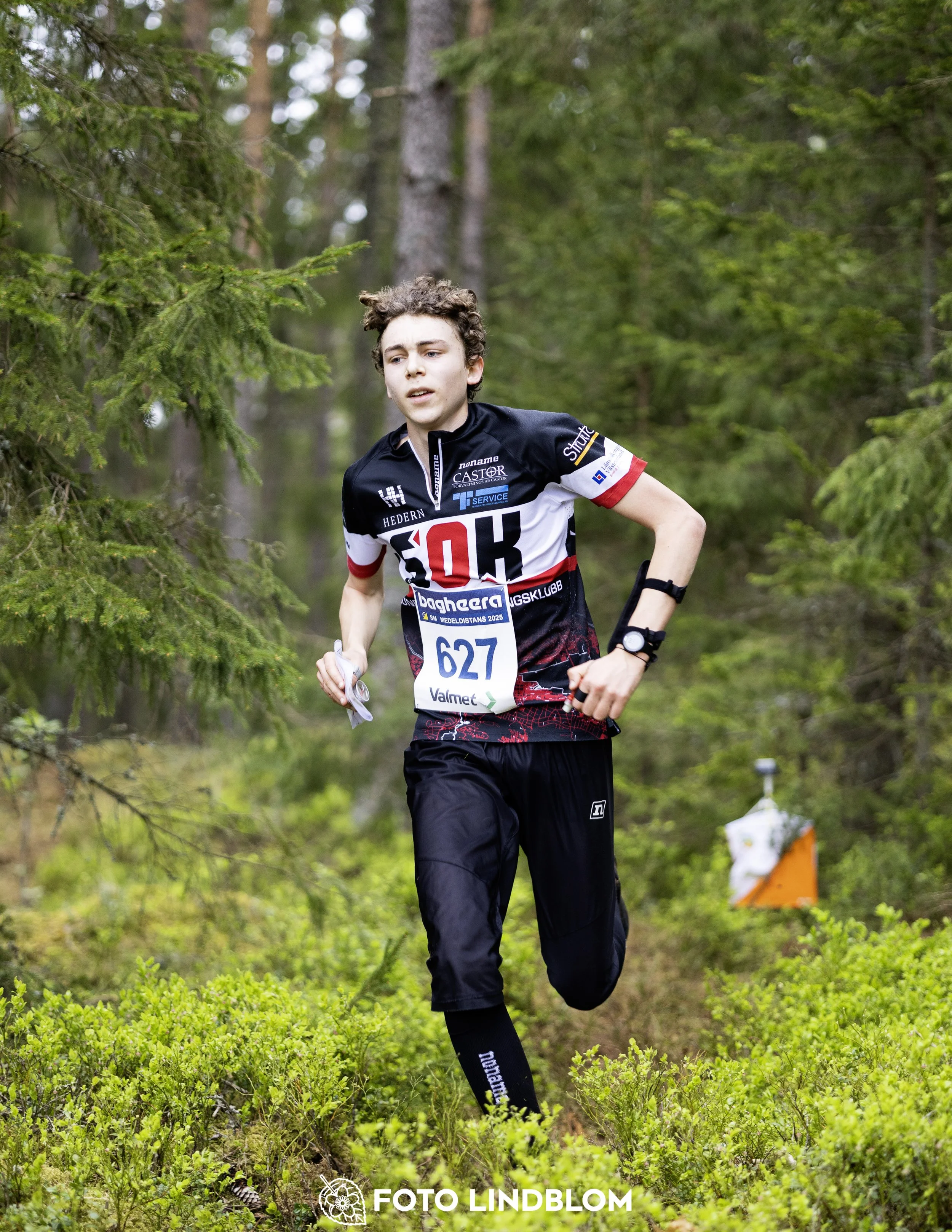 A picture from the Swedish national championship in middle distance orienteering and Swedish league race