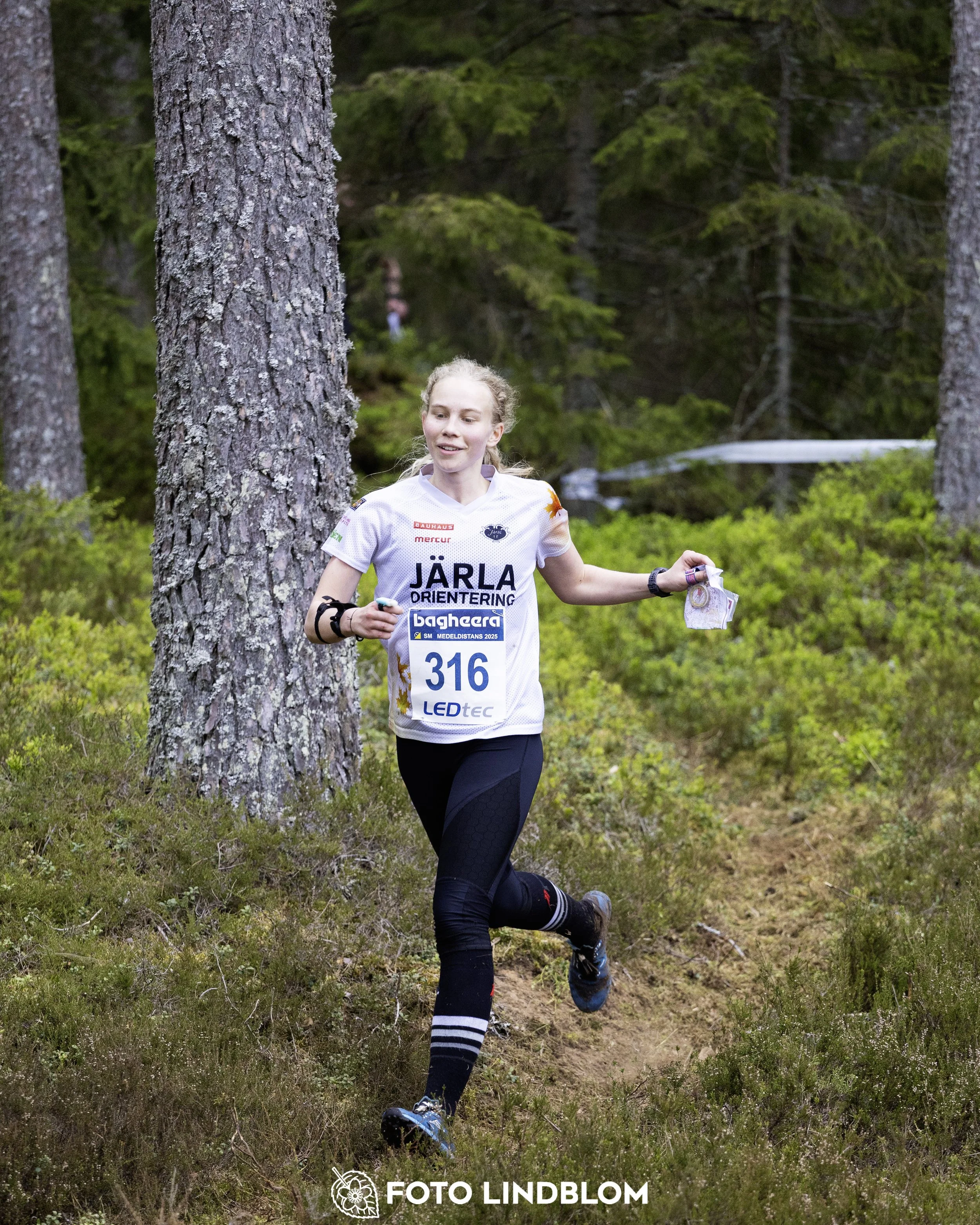 A picture from the Swedish national championship in middle distance orienteering and Swedish league race