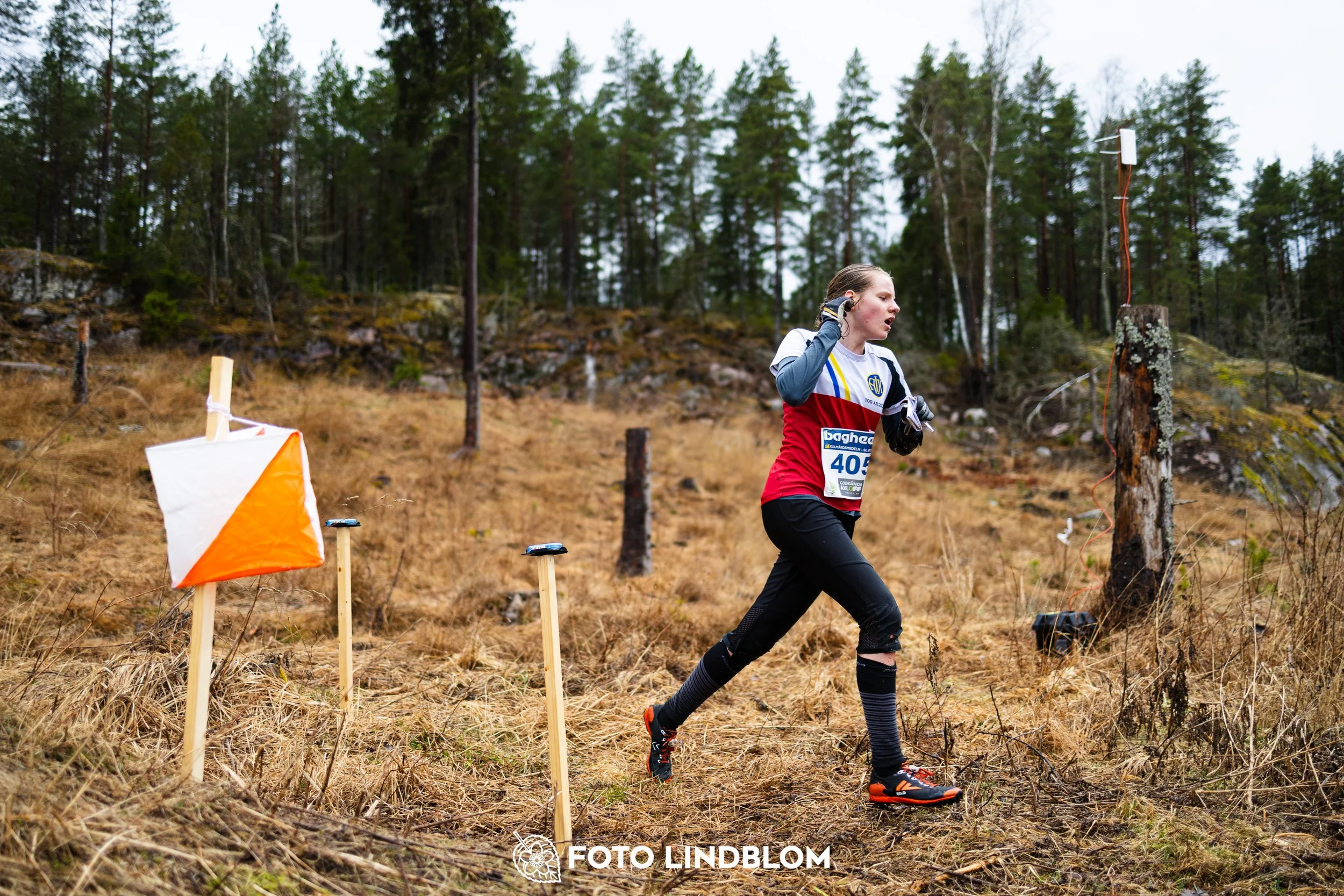 A moment from a middle distance orienteering race in Kolmården during the Swedish League 2026, captured by Foto Lindblom.