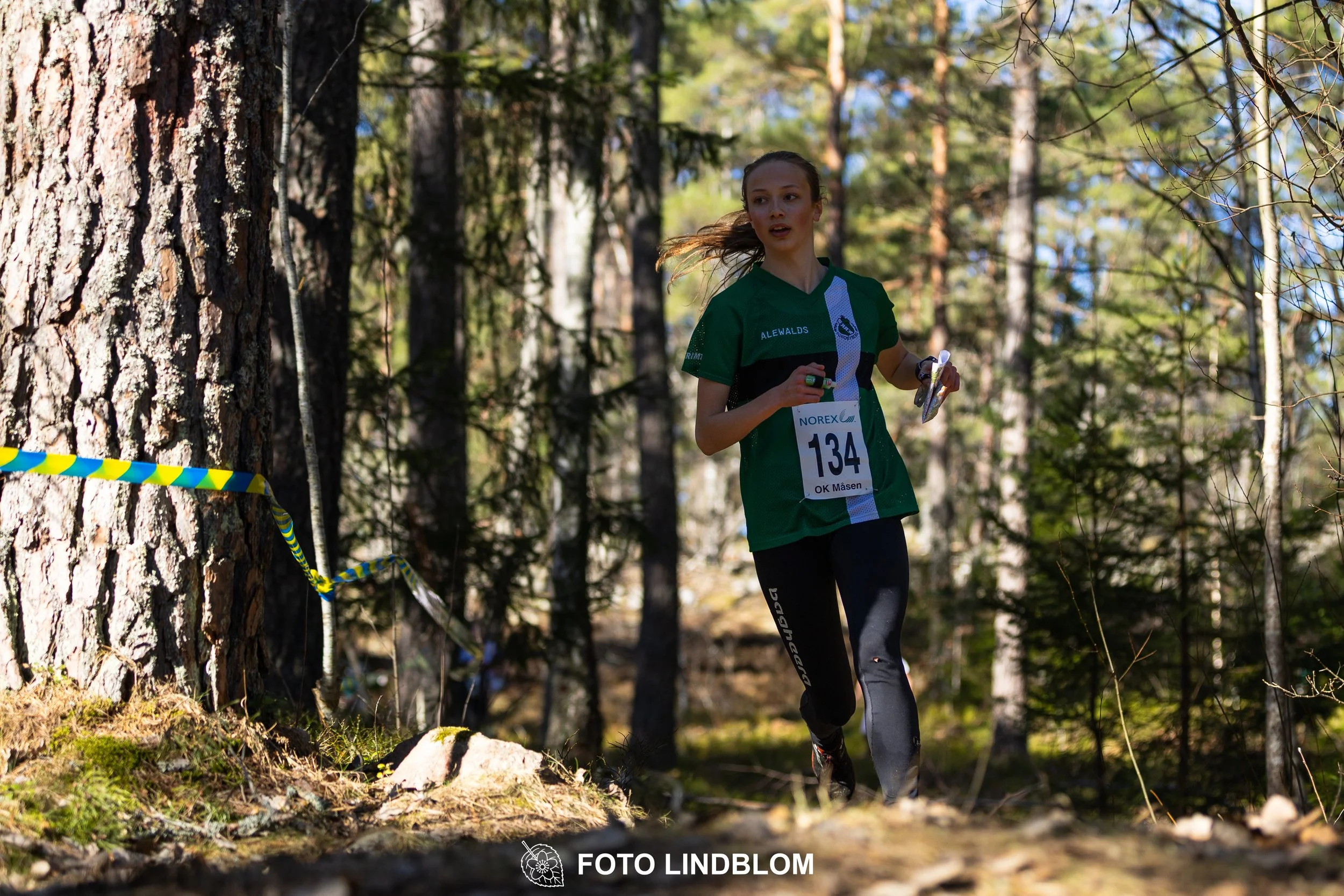 Image from Måsenstafetten 2026 showing orienteering relay teams competing in Swedish forest terrain, taken by Foto Lindblom.