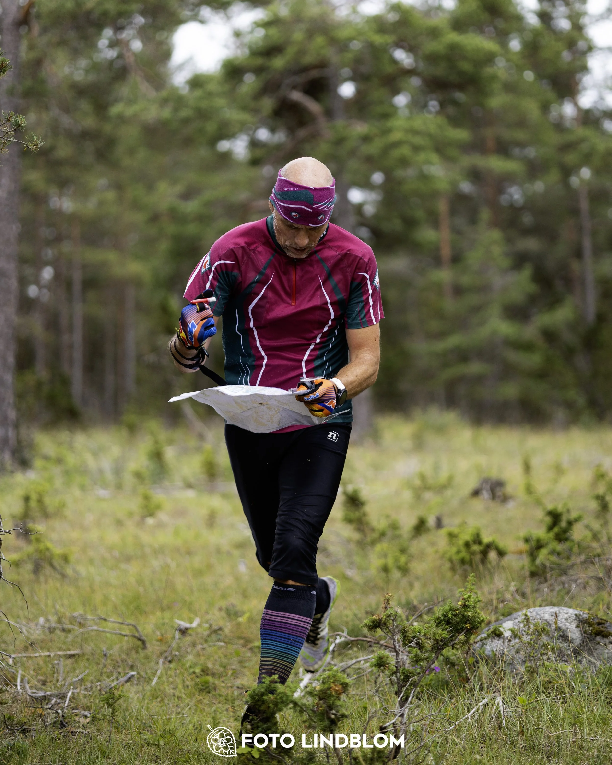 A picture from the Gotlands 2-Dagars orienteering competition