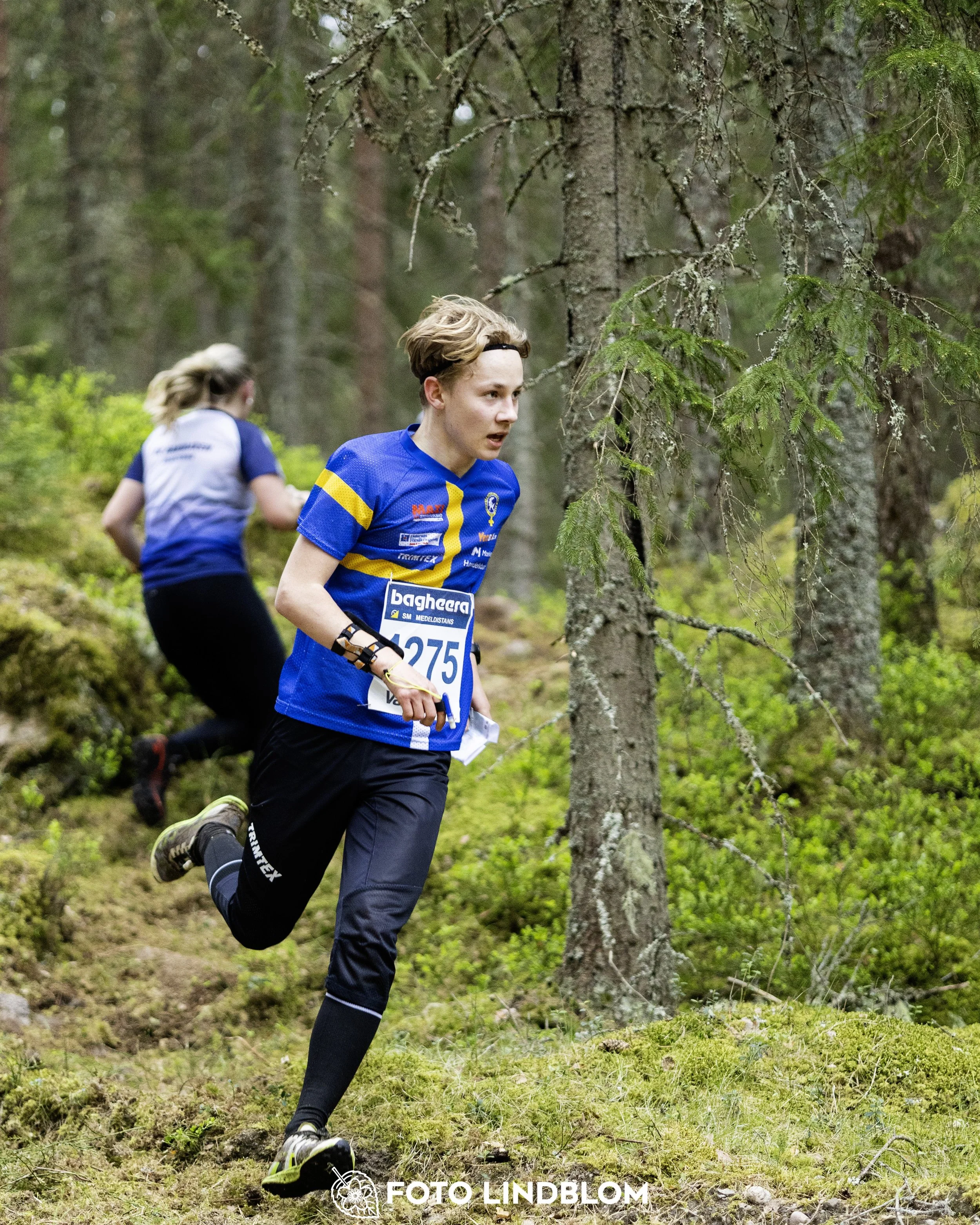 A picture from the Swedish national championship in middle distance orienteering and Swedish league race