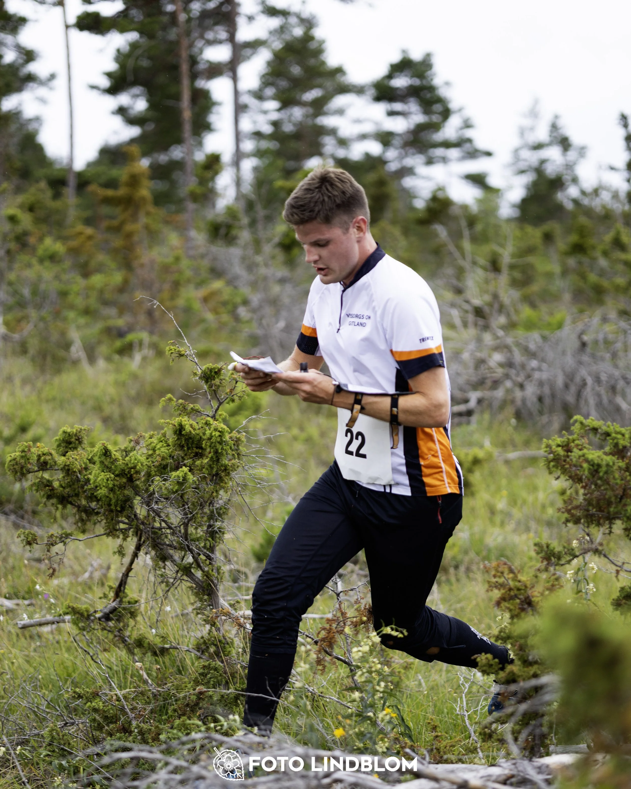 A picture from the Gotlands 2-Dagars orienteering competition