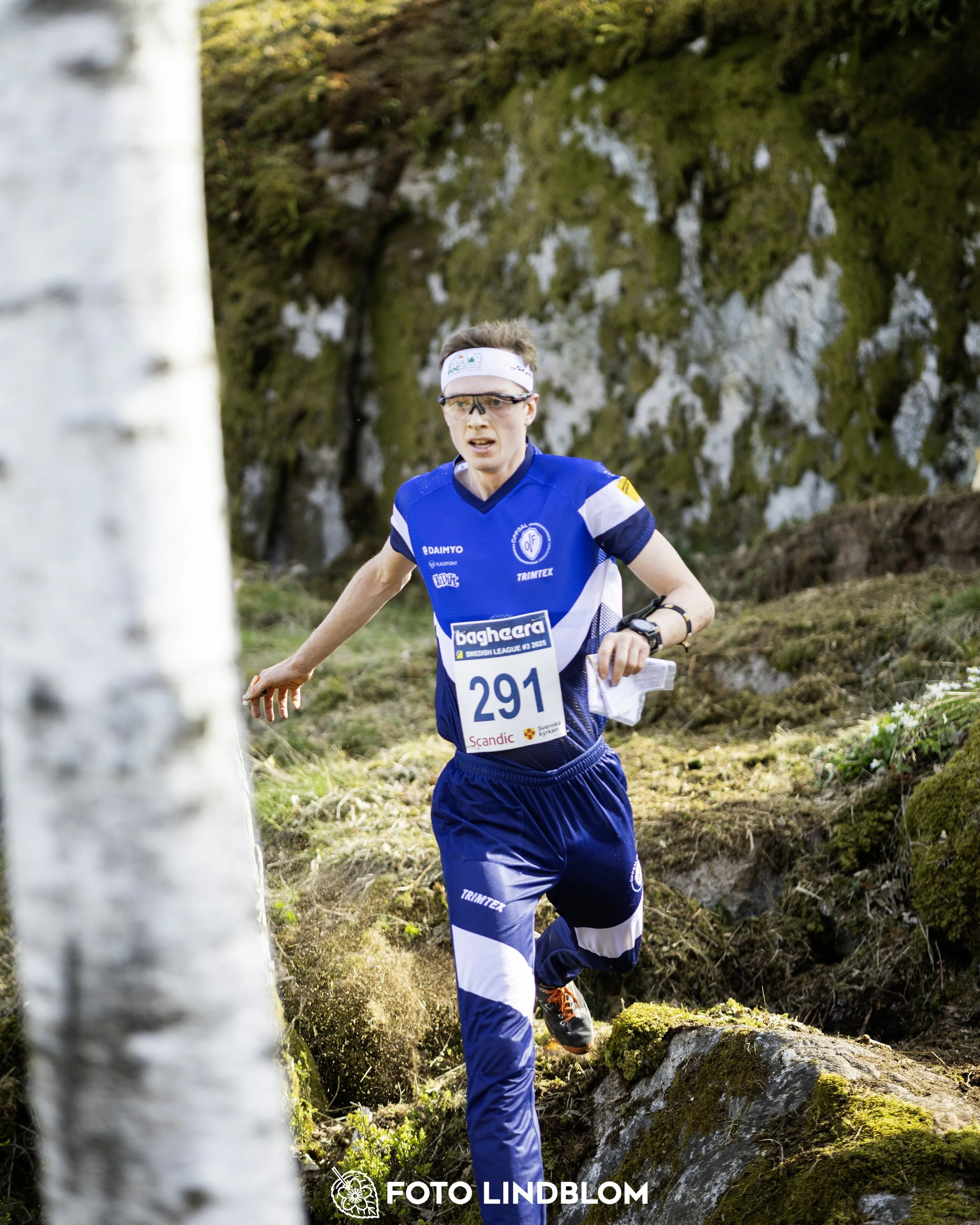 A picture from the third stage of the Swedish League orienteering competition