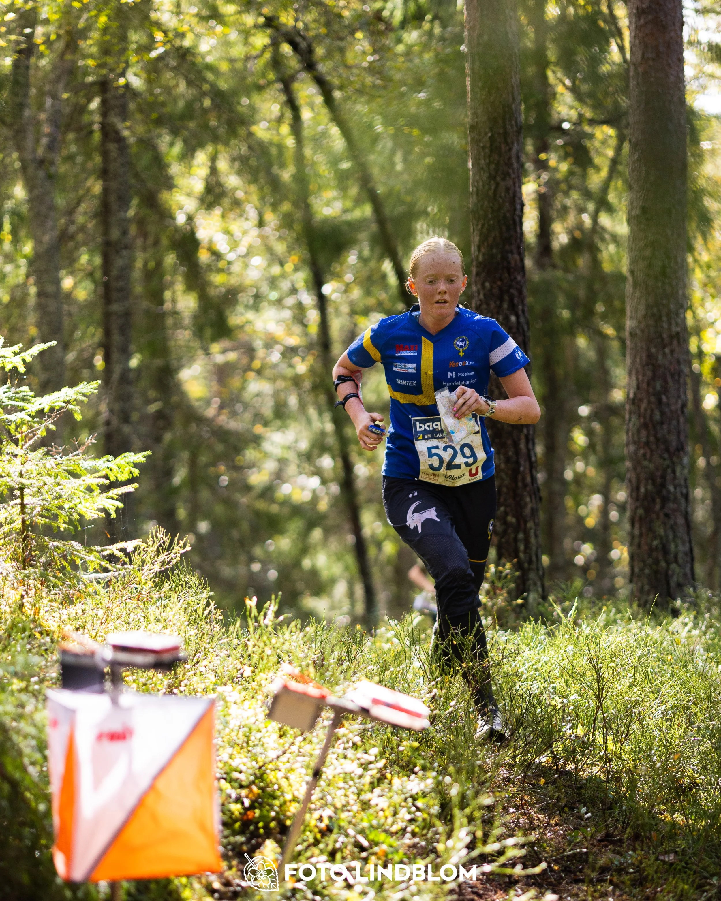 A picture from the Swedish national championship in long distance orienteering and Swedish league race taken by Foto Lindblom