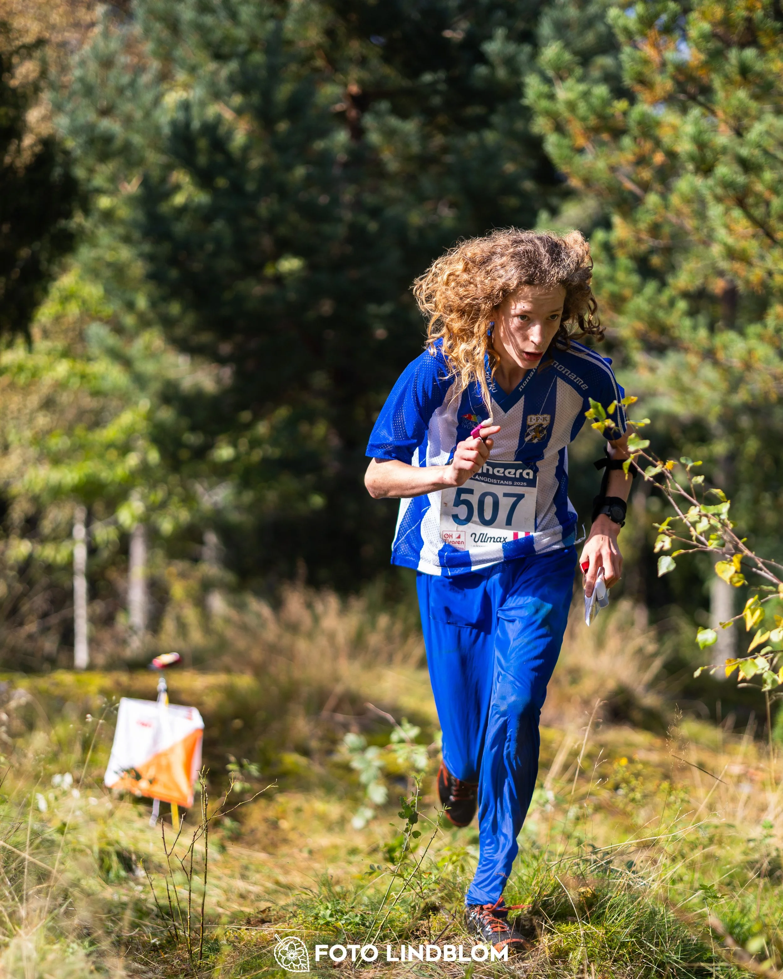 A picture from the Swedish national championship in long distance orienteering and Swedish league race taken by Foto Lindblom