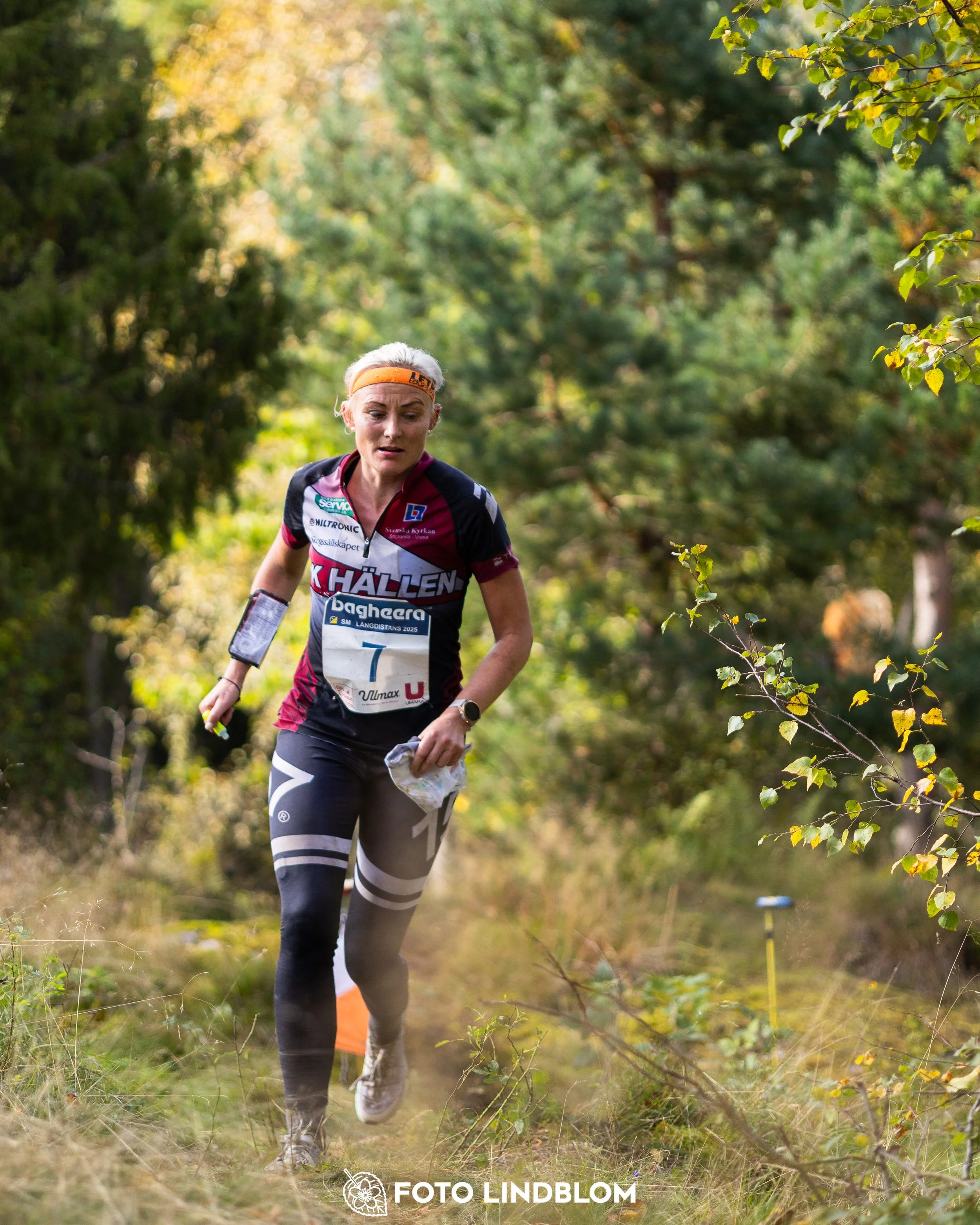A picture from the Swedish national championship in long distance orienteering and Swedish league race taken by Foto Lindblom