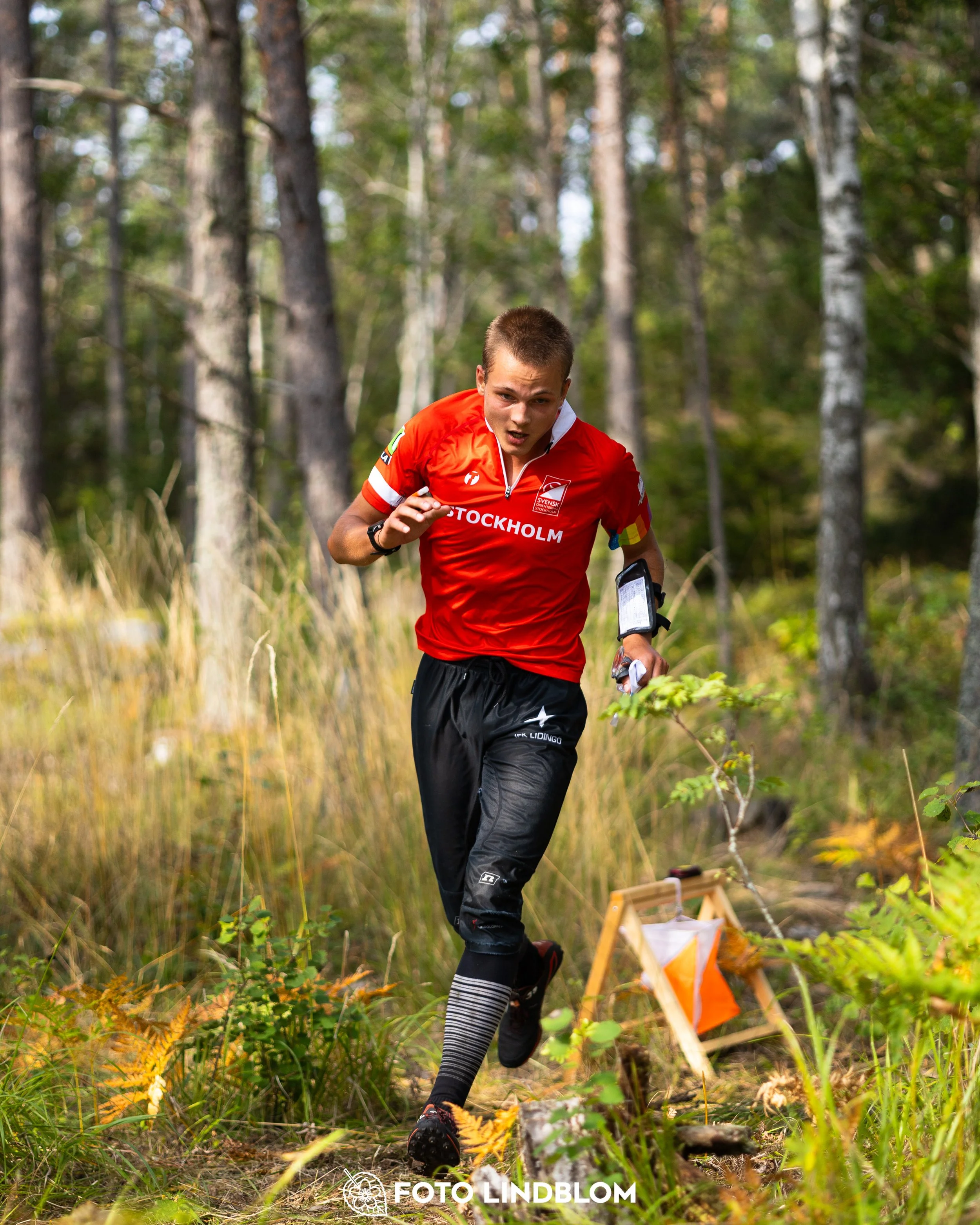 A picture from the Stockholm district championship in middle distance orienteering taken by Foto Lindblom