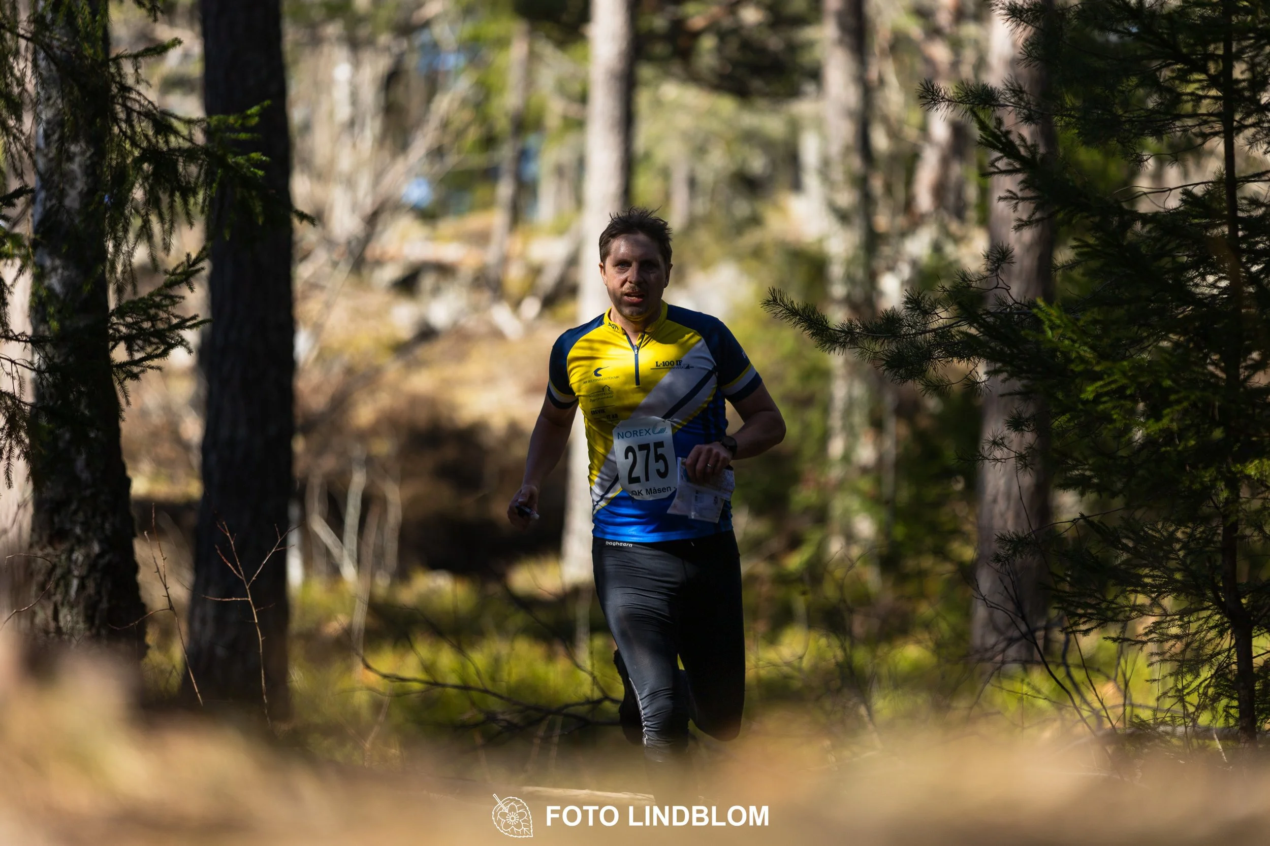 Image from Måsenstafetten 2026 showing orienteering relay teams competing in Swedish forest terrain, taken by Foto Lindblom.