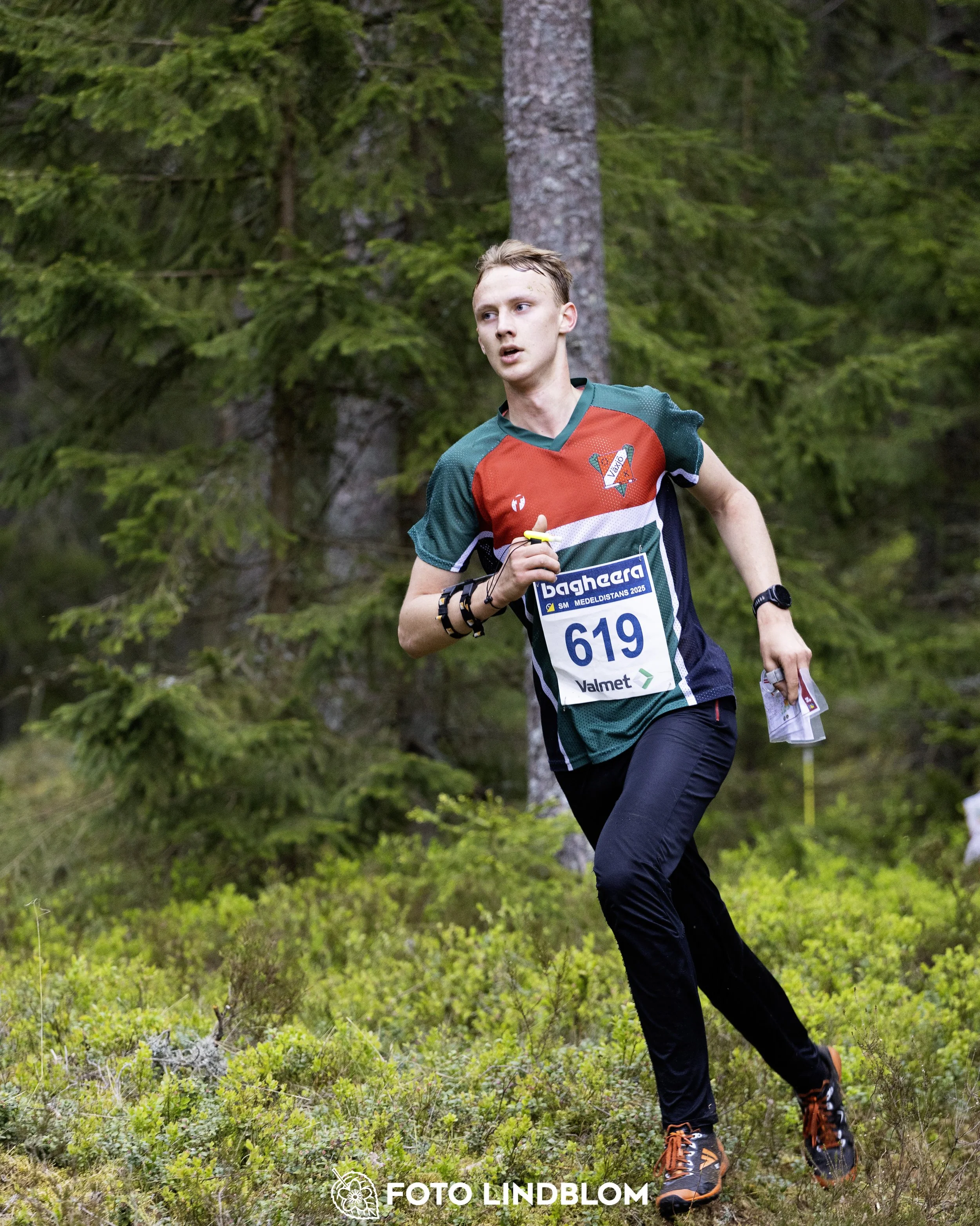 A picture from the Swedish national championship in middle distance orienteering and Swedish league race