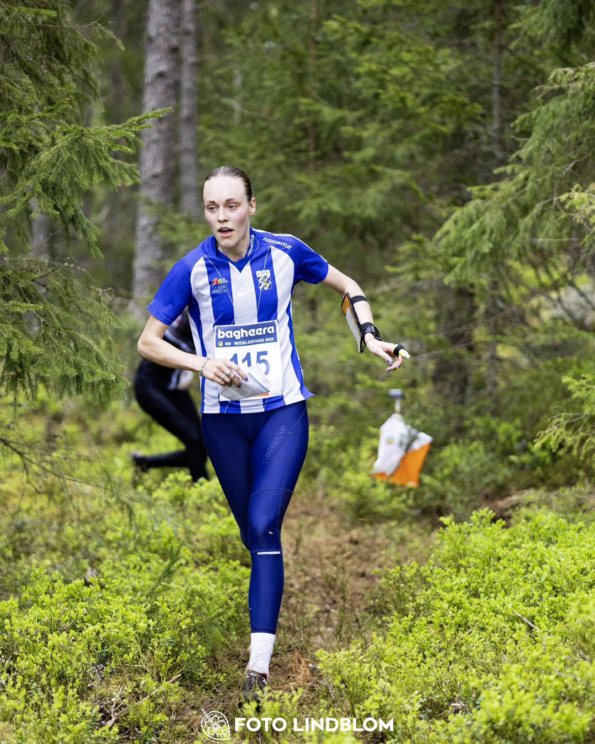 A picture from the Swedish national championship in middle distance orienteering and Swedish league race