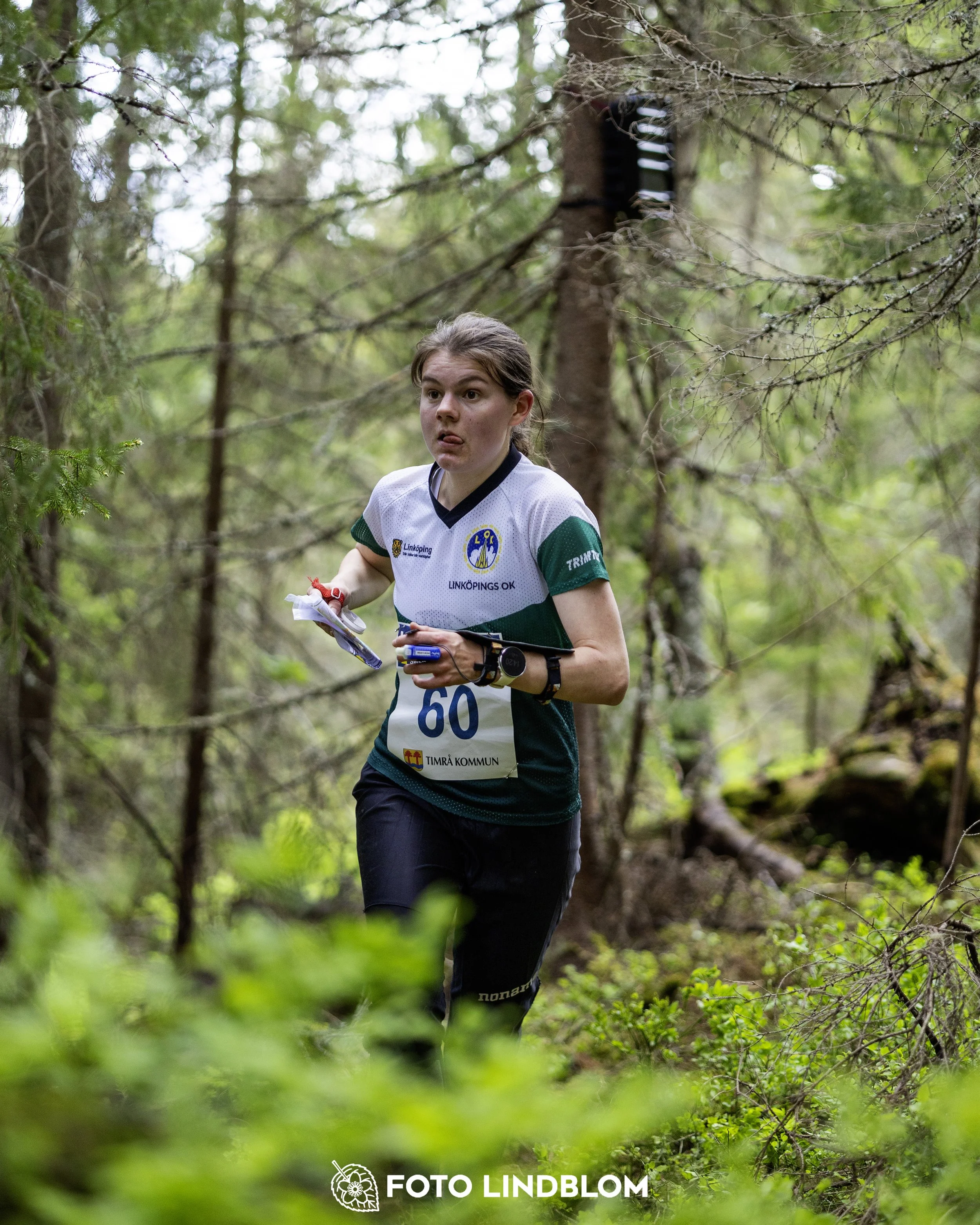 A picture from the seventh stage of the Swedish League orienteering competition