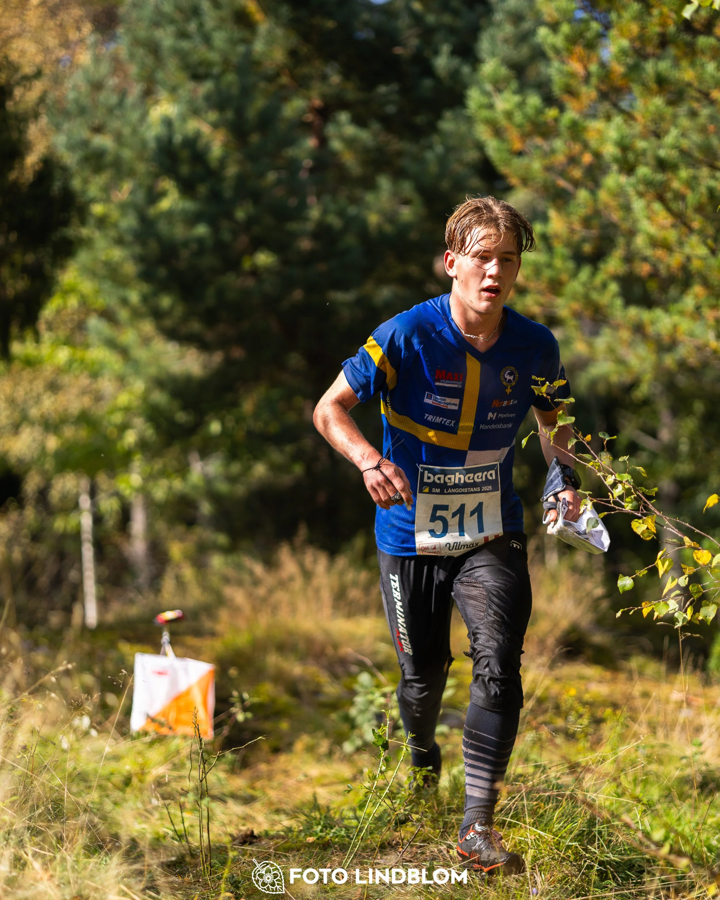 A picture from the Swedish national championship in long distance orienteering and Swedish league race taken by Foto Lindblom
