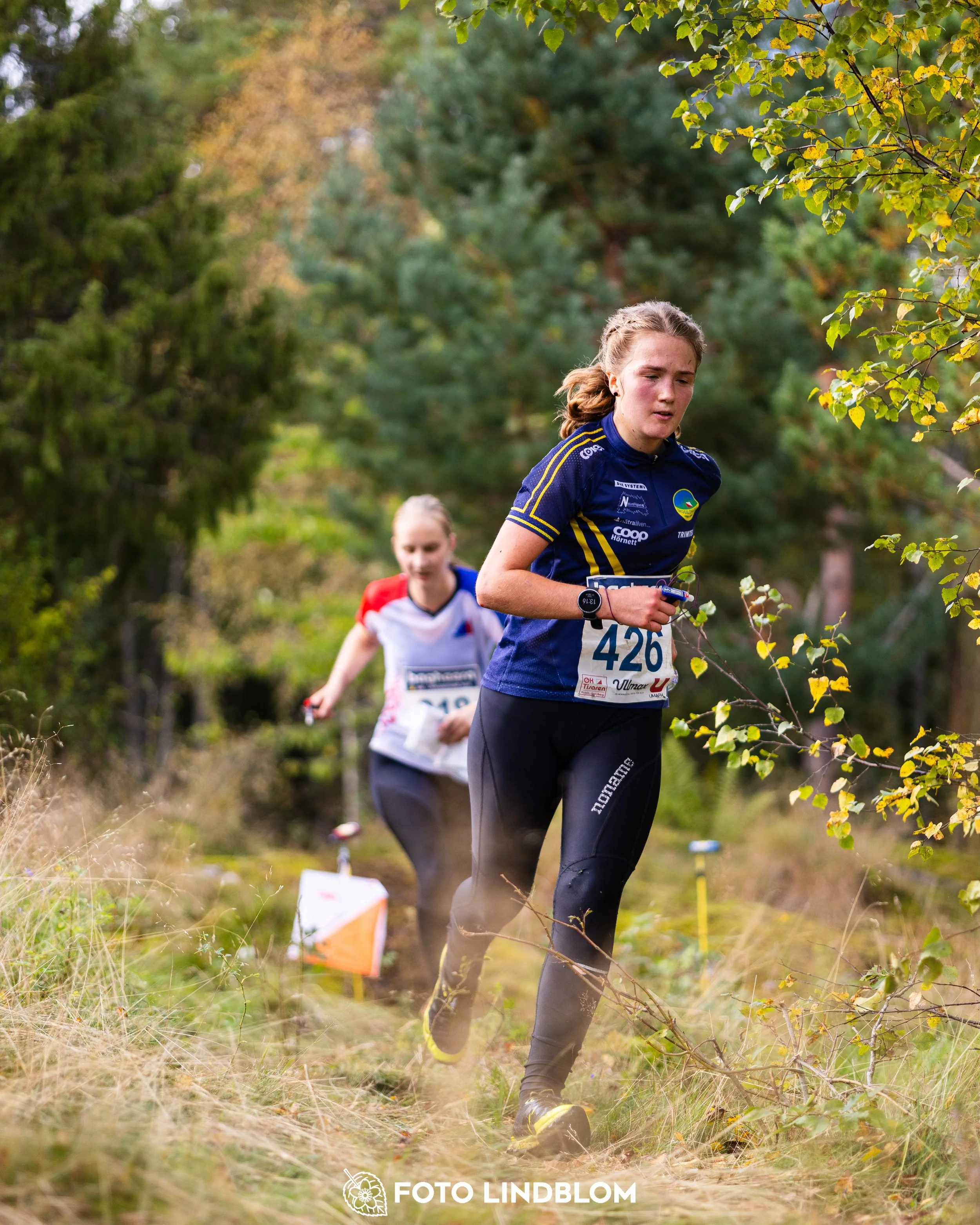 A picture from the Swedish national championship in long distance orienteering and Swedish league race taken by Foto Lindblom