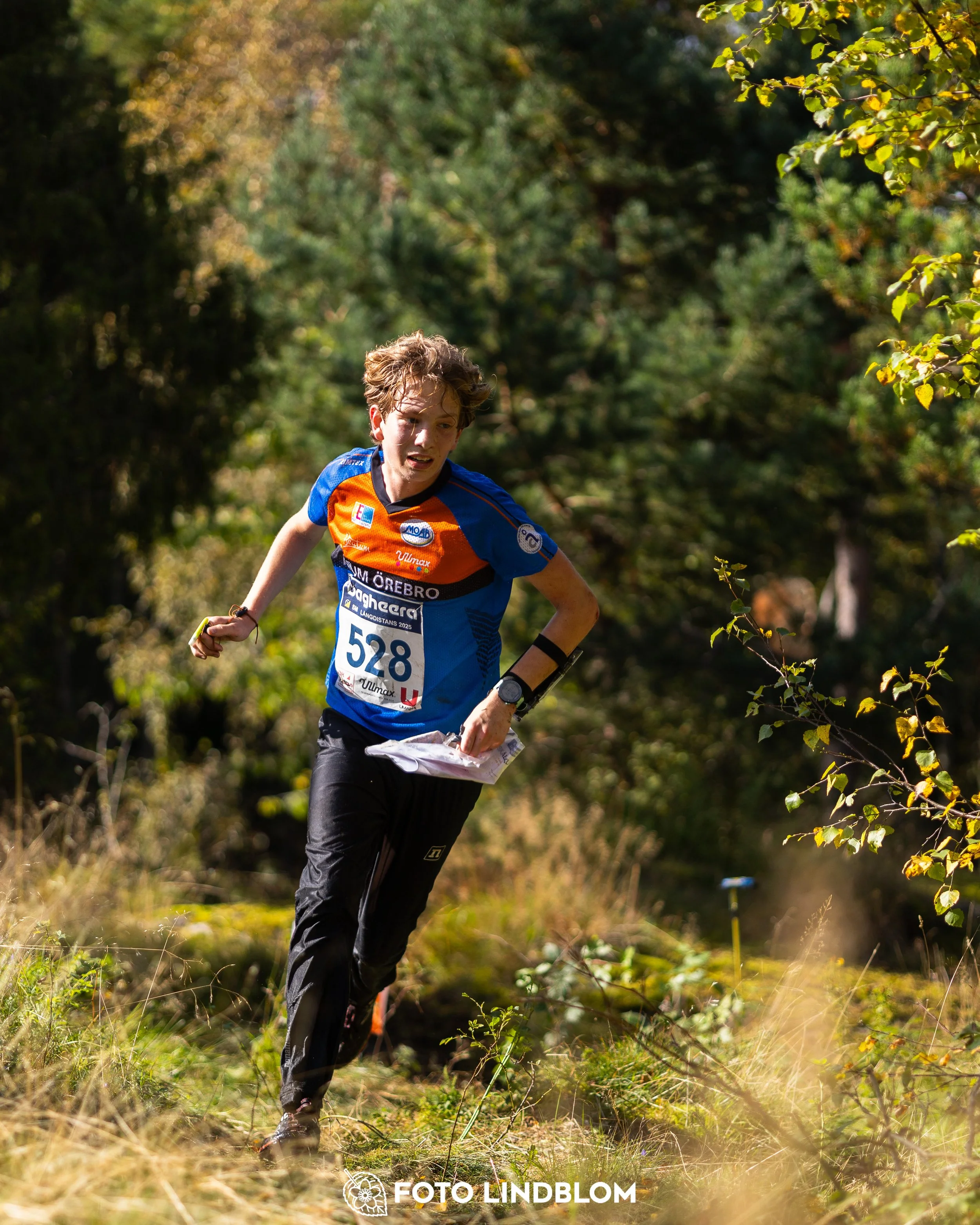 A picture from the Swedish national championship in long distance orienteering and Swedish league race taken by Foto Lindblom