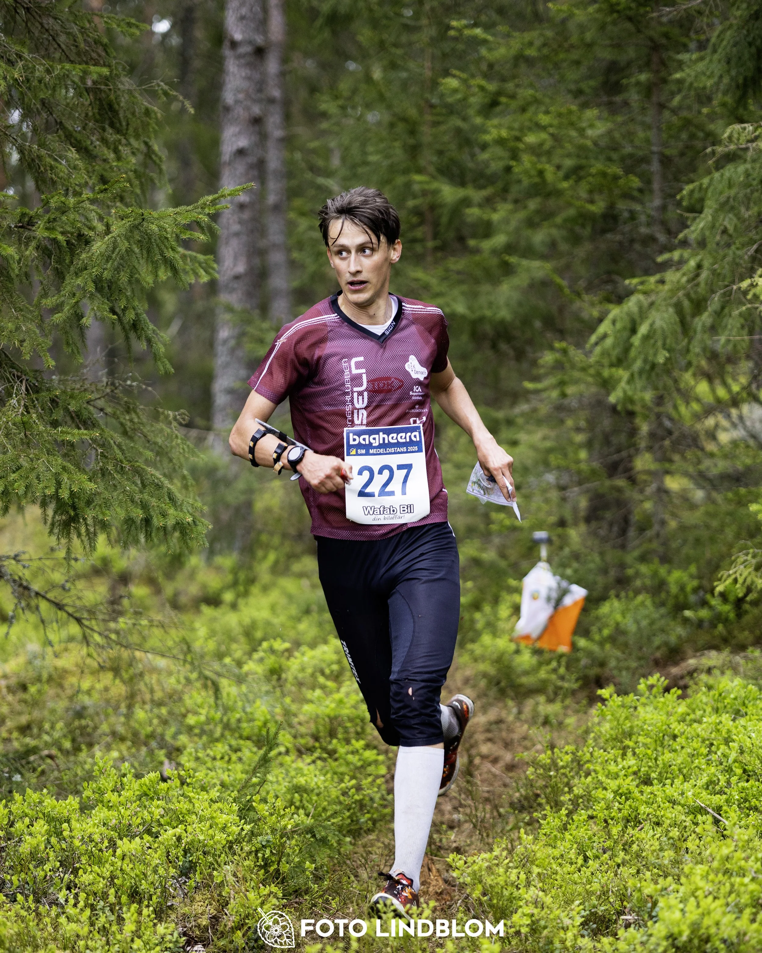 A picture from the Swedish national championship in middle distance orienteering and Swedish league race