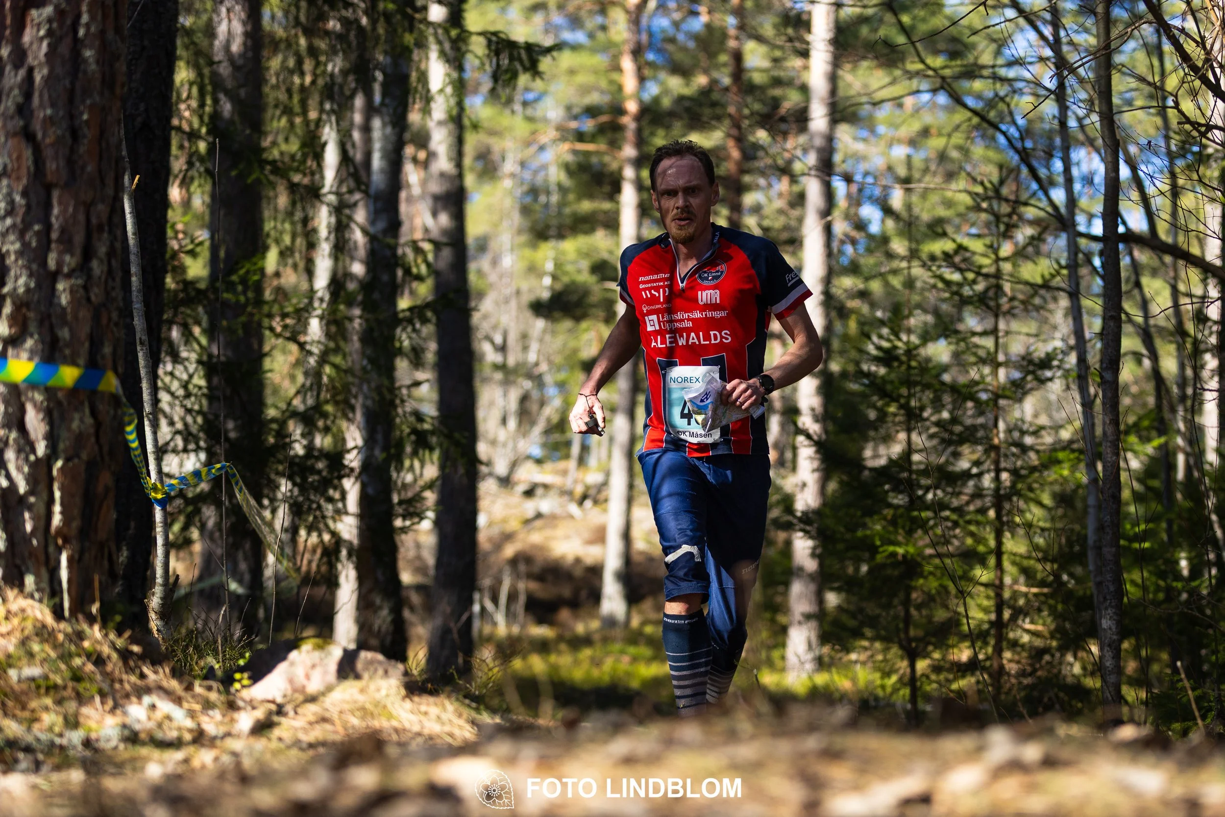 Swedish orienteering relay event Måsenstafetten 2026, with teams racing through forest terrain, captured by Foto Lindblom.