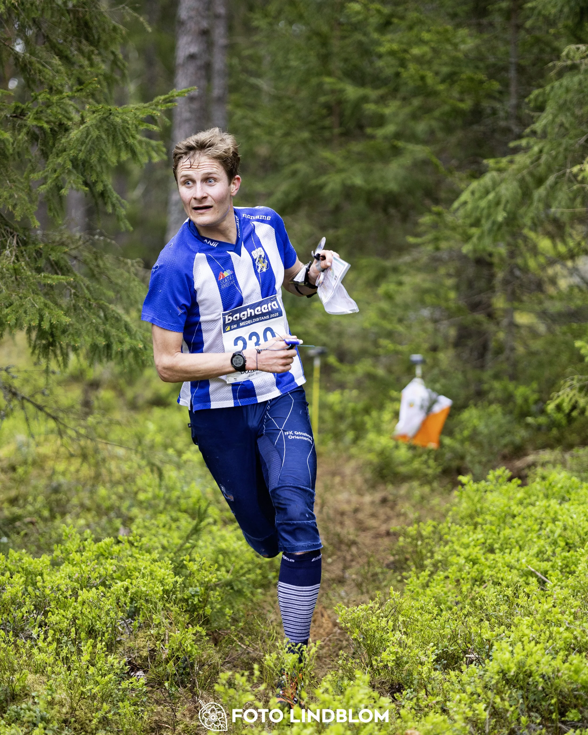A picture from the Swedish national championship in middle distance orienteering and Swedish league race