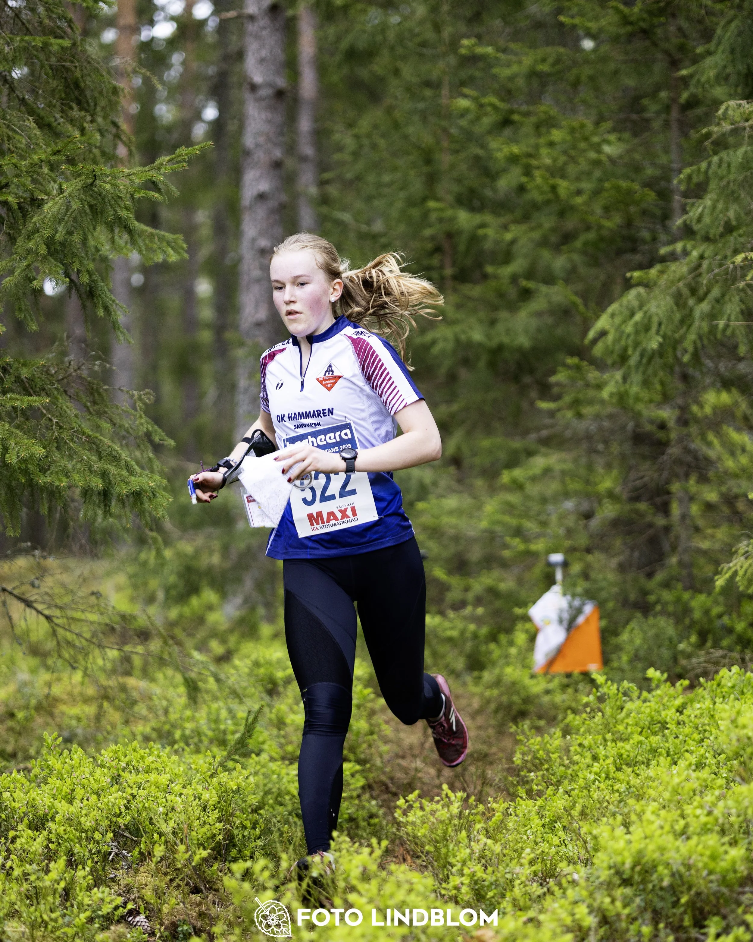 A picture from the Swedish national championship in middle distance orienteering and Swedish league race