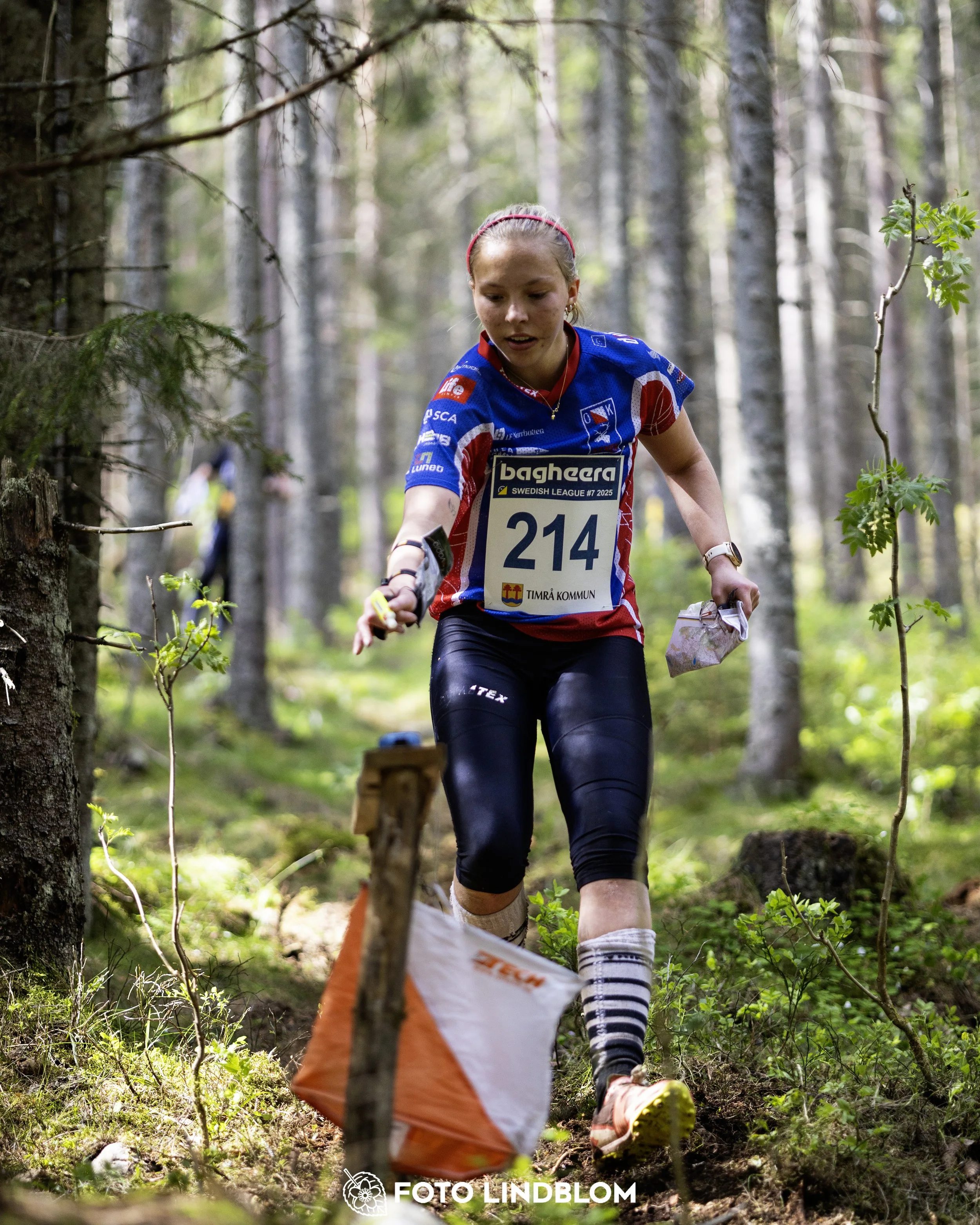 A picture from the seventh stage of the Swedish League orienteering competition