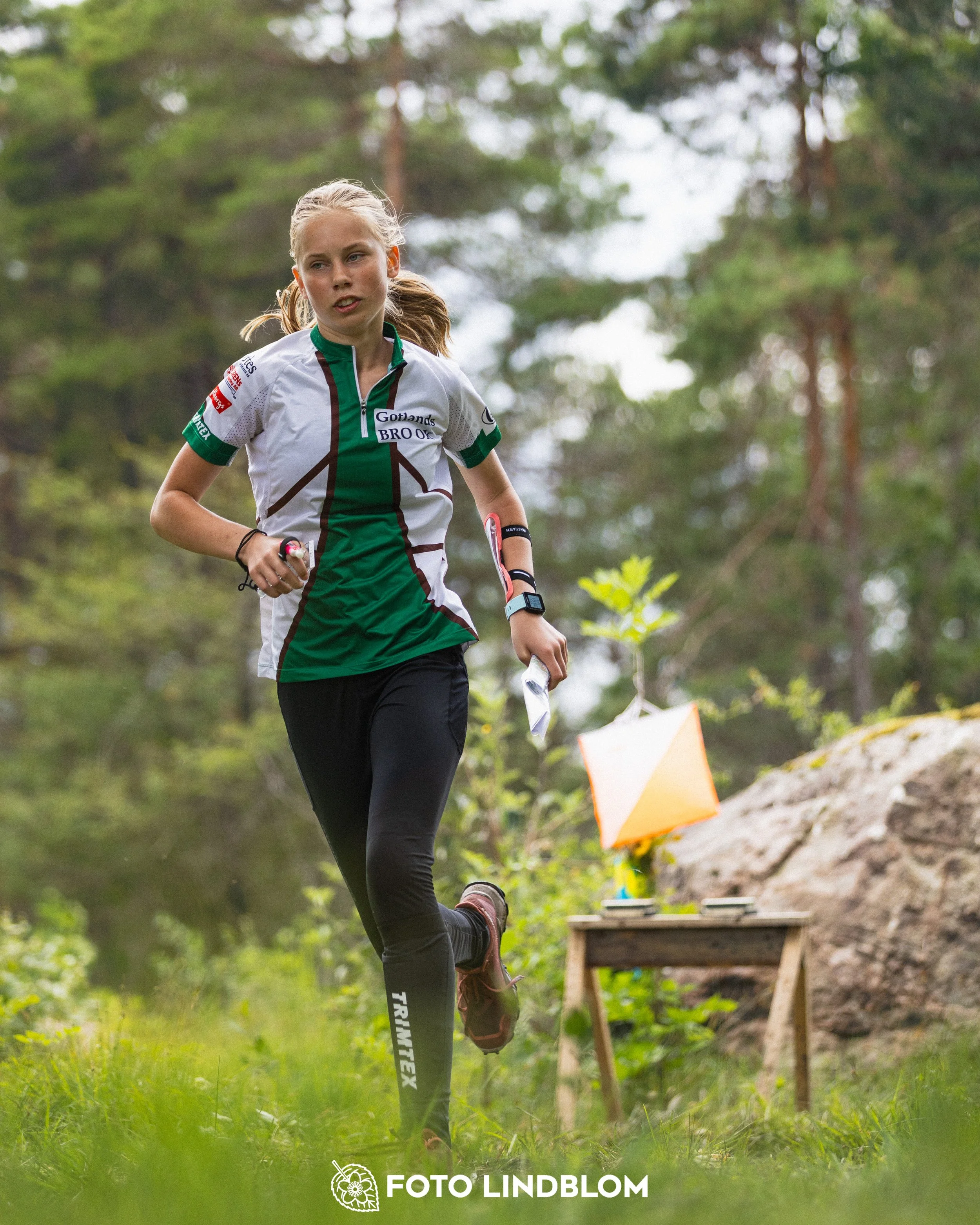 260704-Gotlands_2dagars-192.jpg