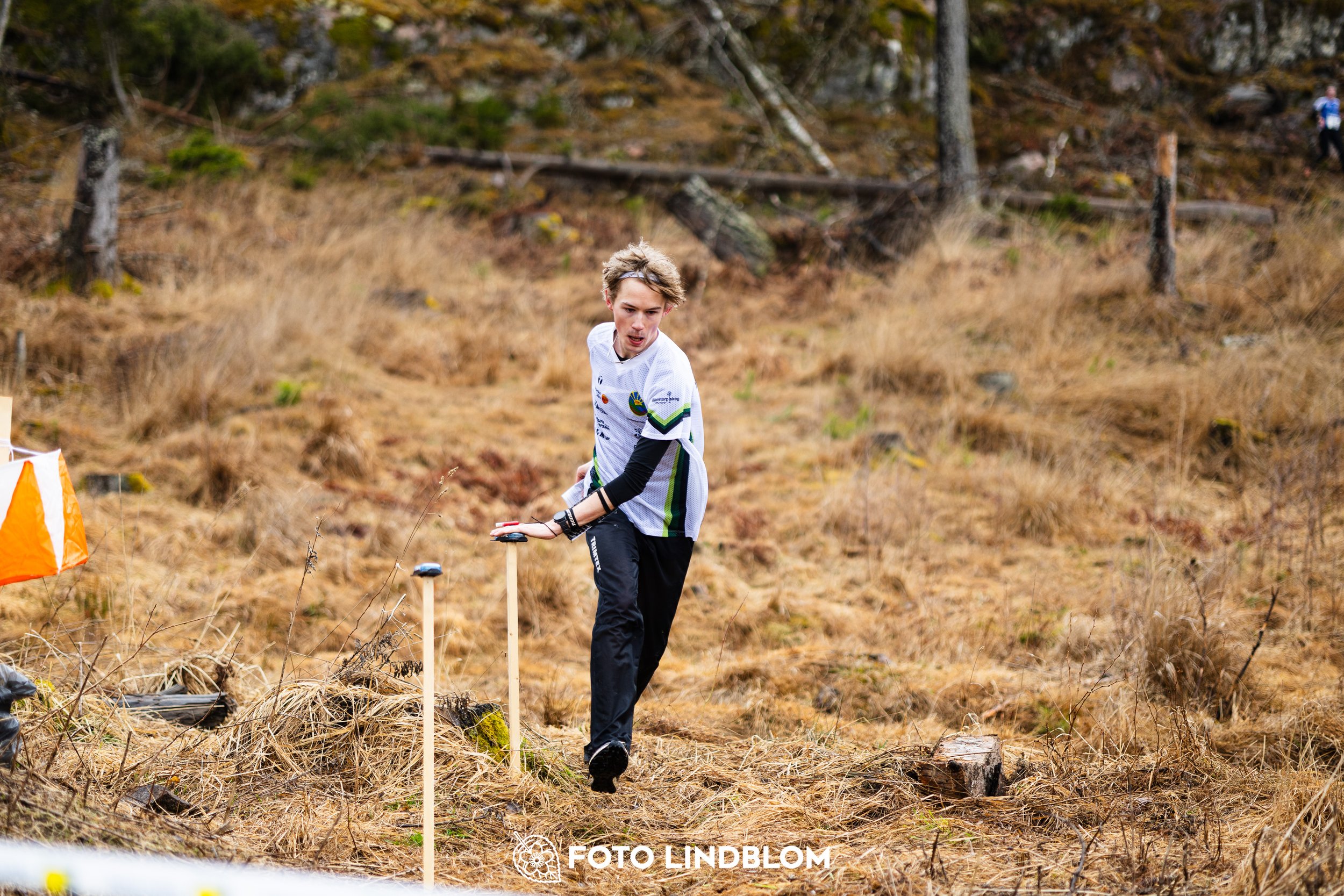 A photo from a forest orienteering competition in Kolmården as part of the Swedish League 2026 season, captured by Foto Lindblom.