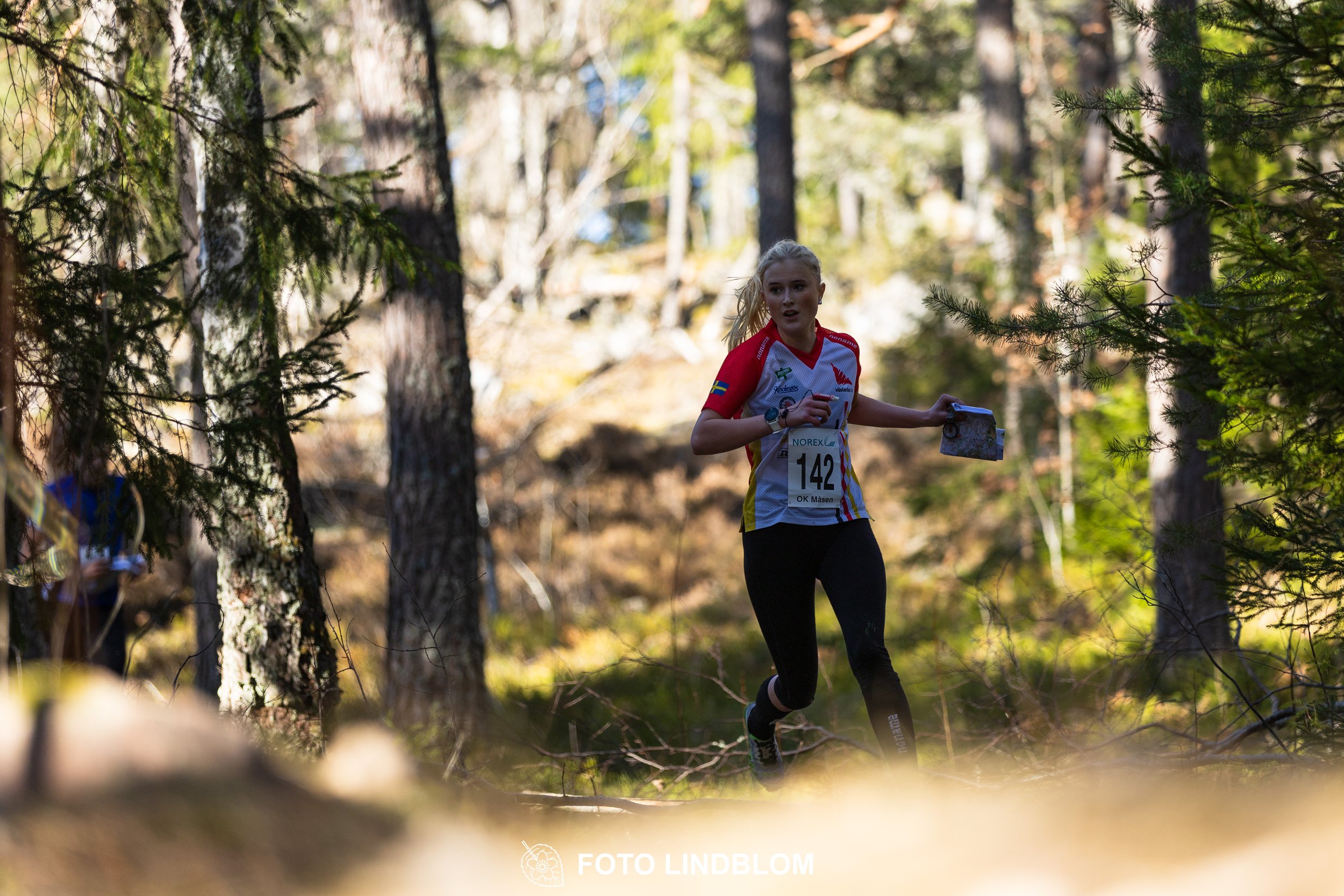 Image from Måsenstafetten 2026 showing orienteering relay teams competing in Swedish forest terrain, taken by Foto Lindblom.