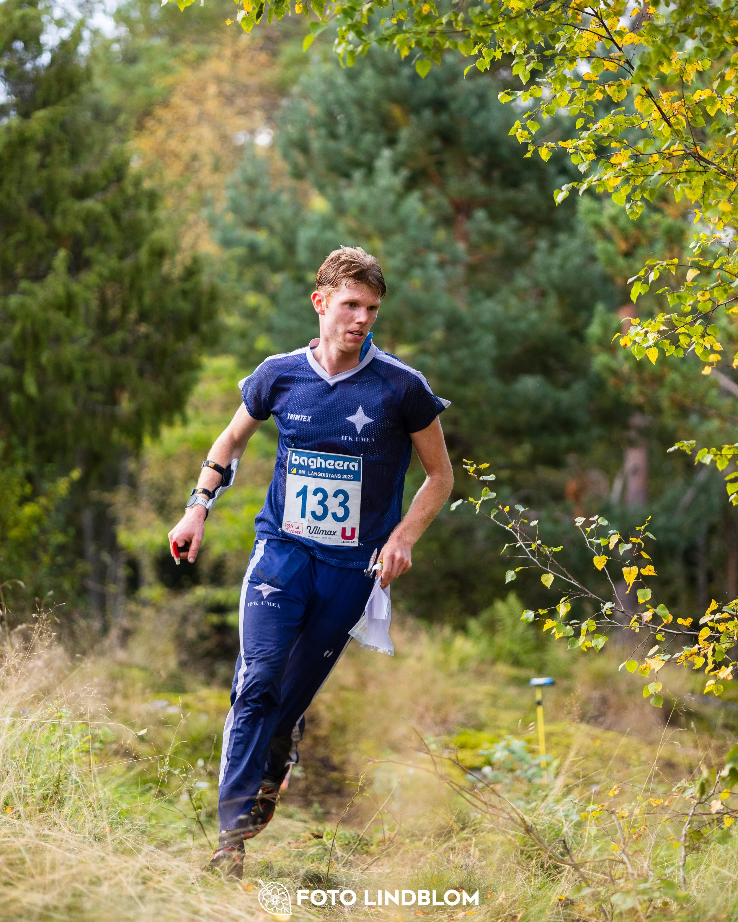 A picture from the Swedish national championship in long distance orienteering and Swedish league race taken by Foto Lindblom