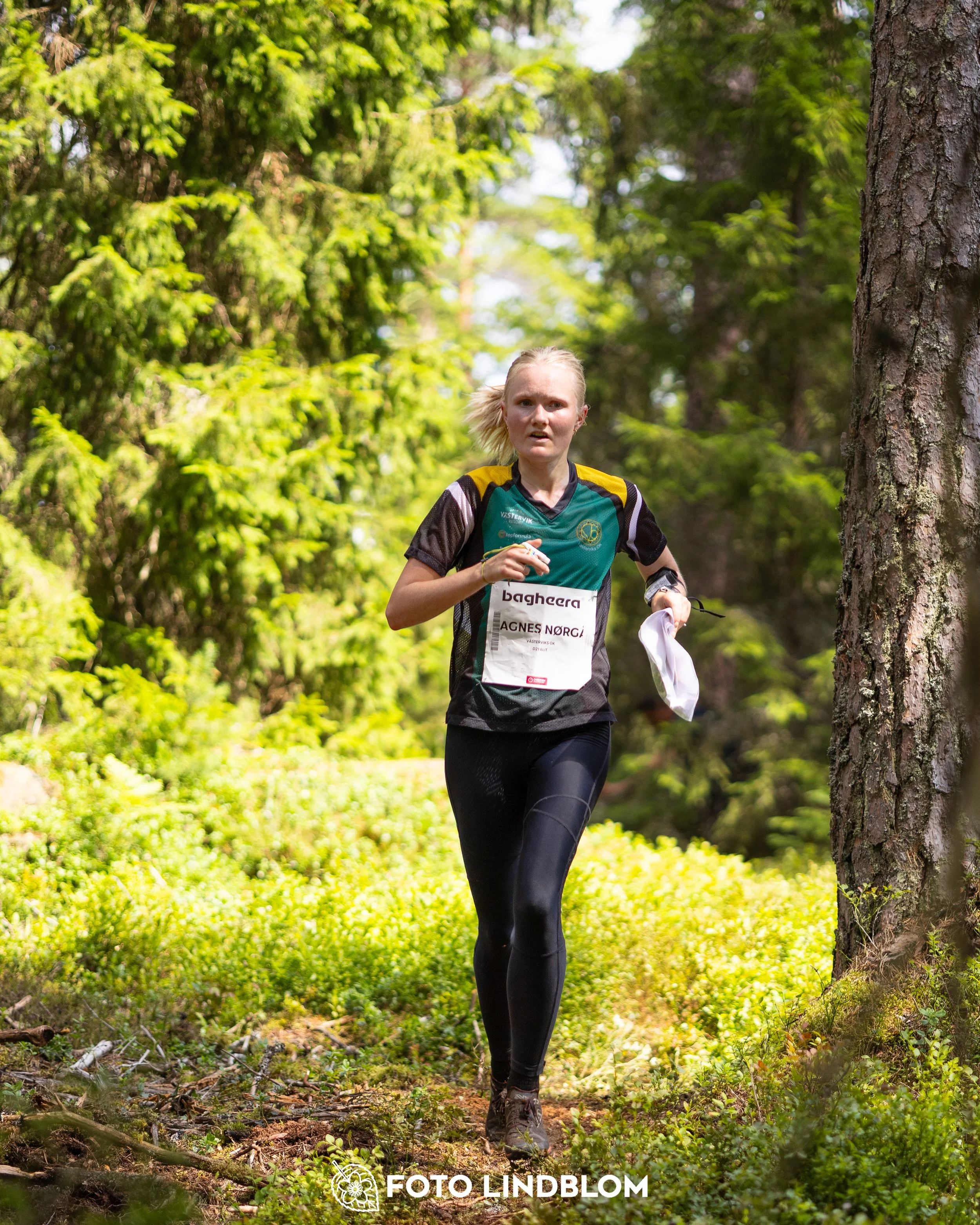 A picture from the second stage of Oringen 2025